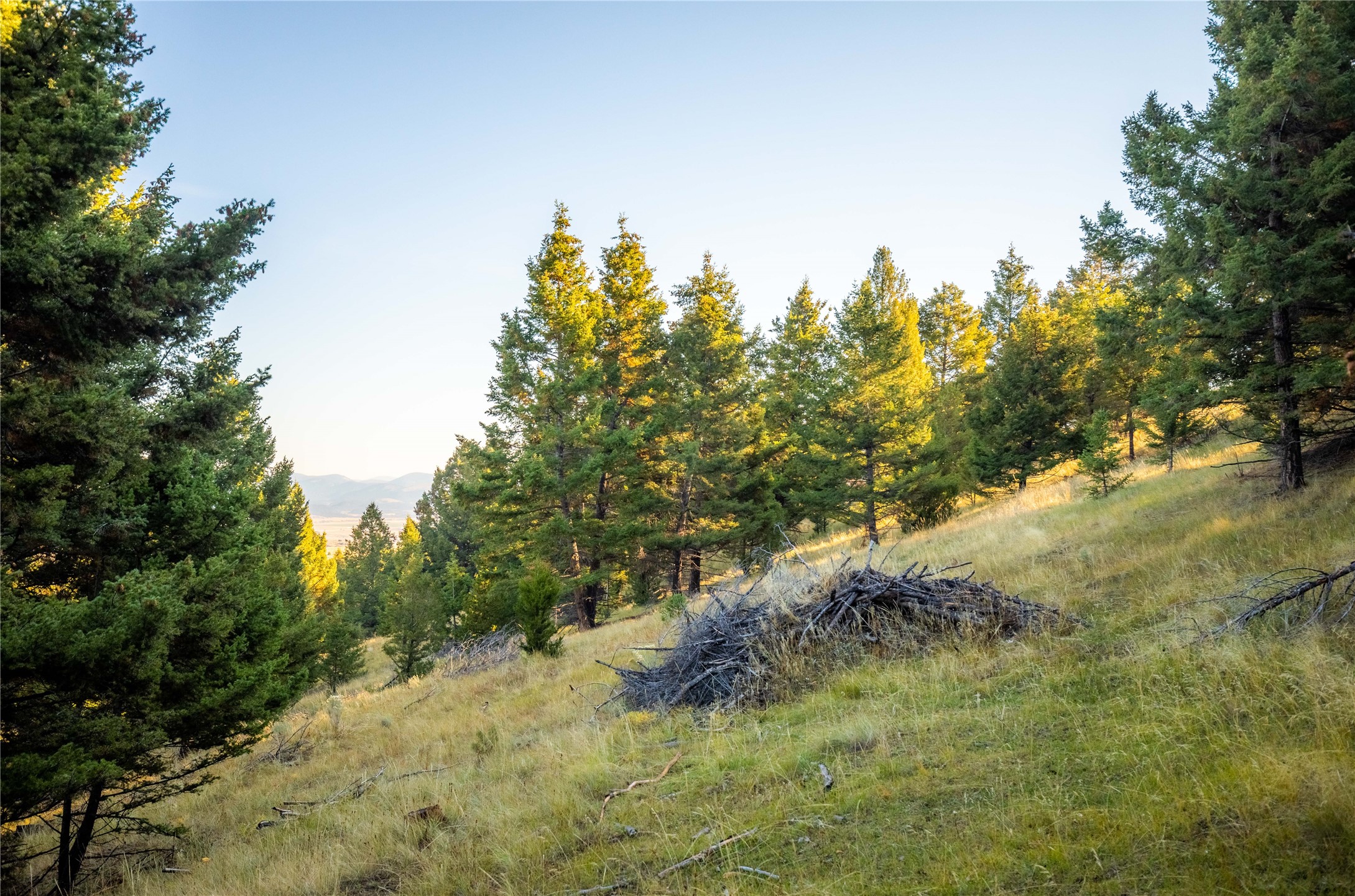 Nhn Lone Pine Gulch Road Property Photo 12