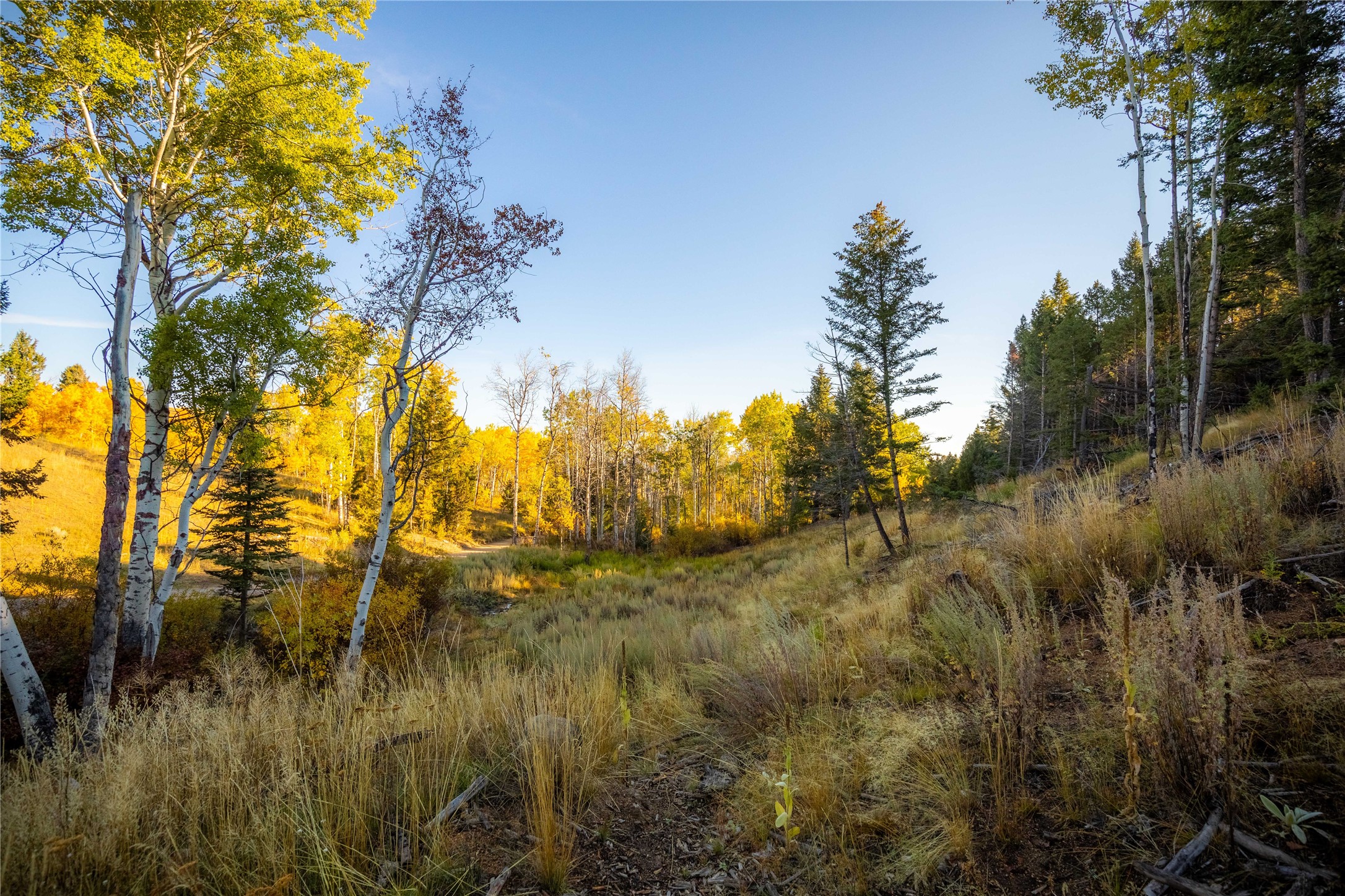Nhn Lone Pine Gulch Road Property Photo 14