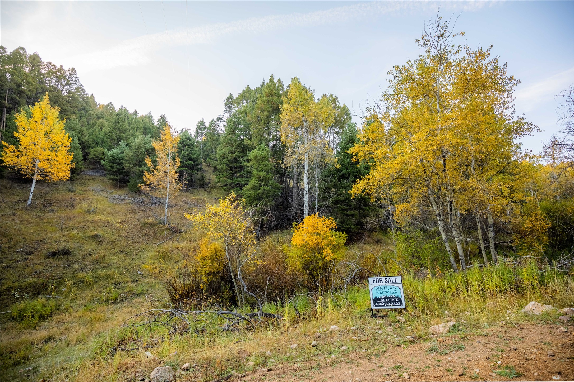 Nhn Lone Pine Gulch Road Property Photo 15