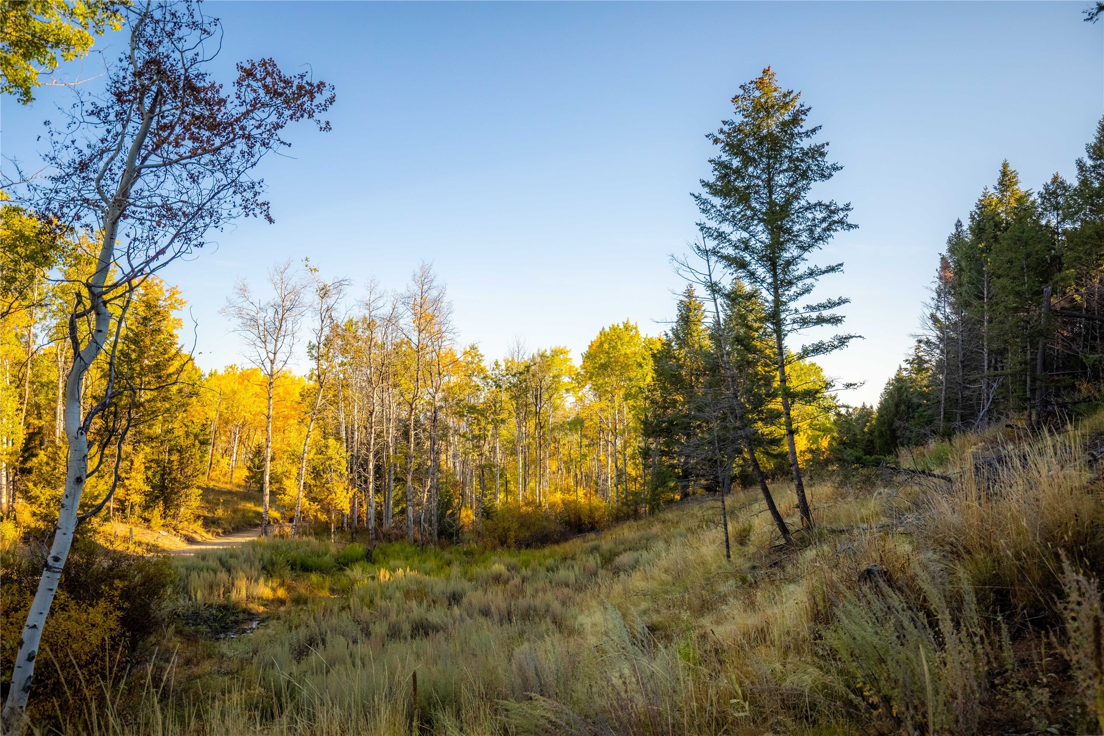 Nhn Lone Pine Gulch Road Property Photo 16