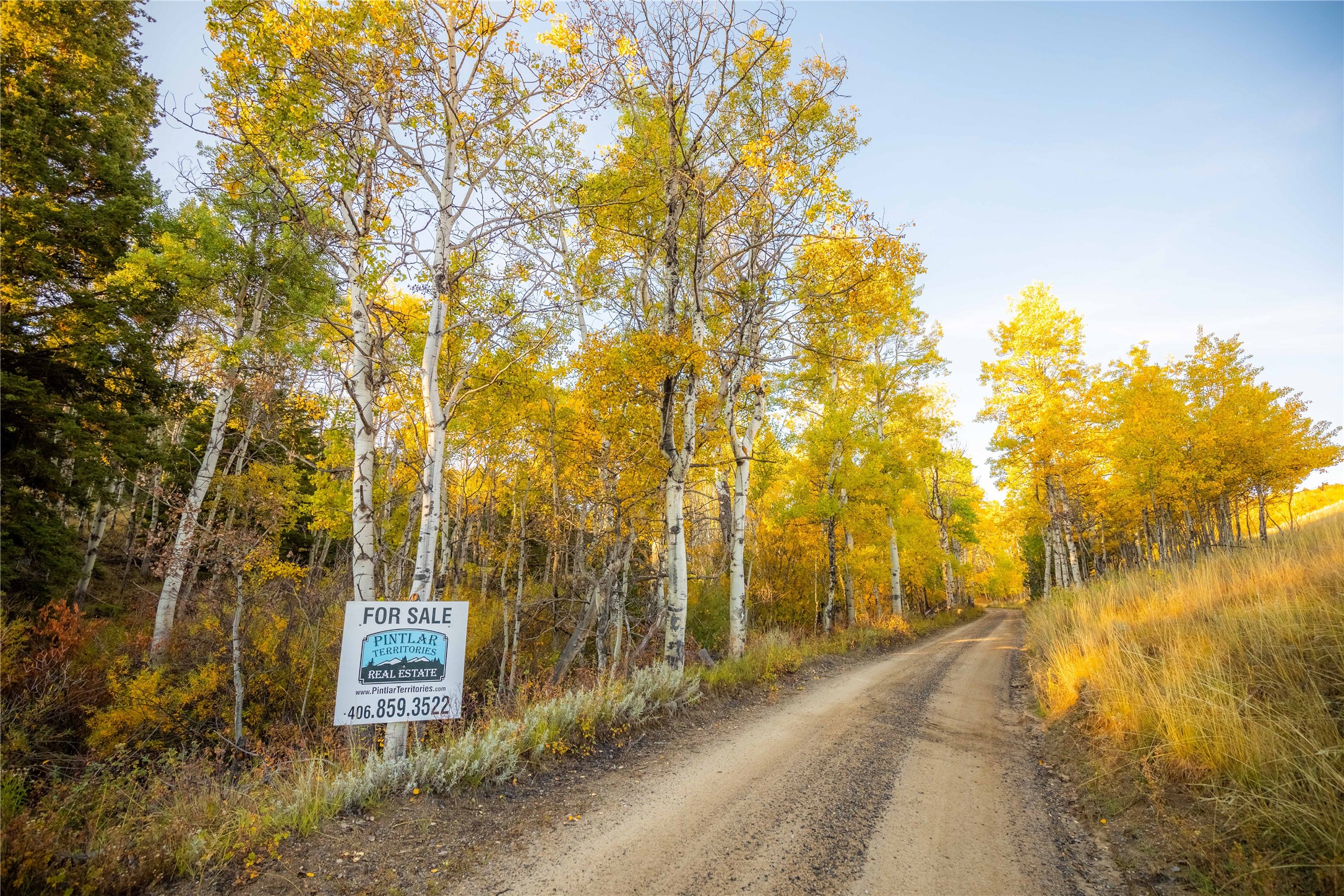 Nhn Lone Pine Gulch Road Property Photo 17