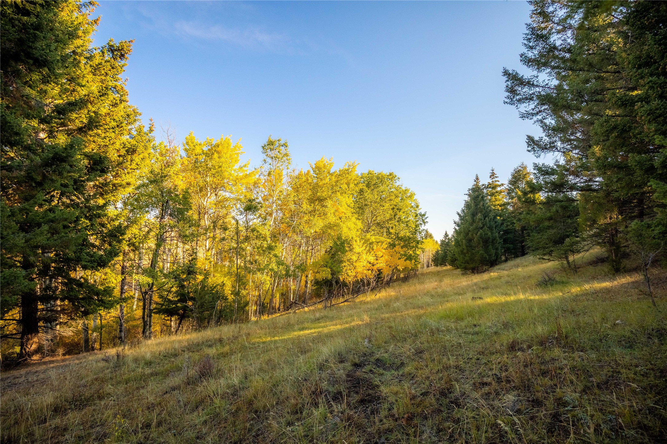 Nhn Lone Pine Gulch Road Property Photo 18