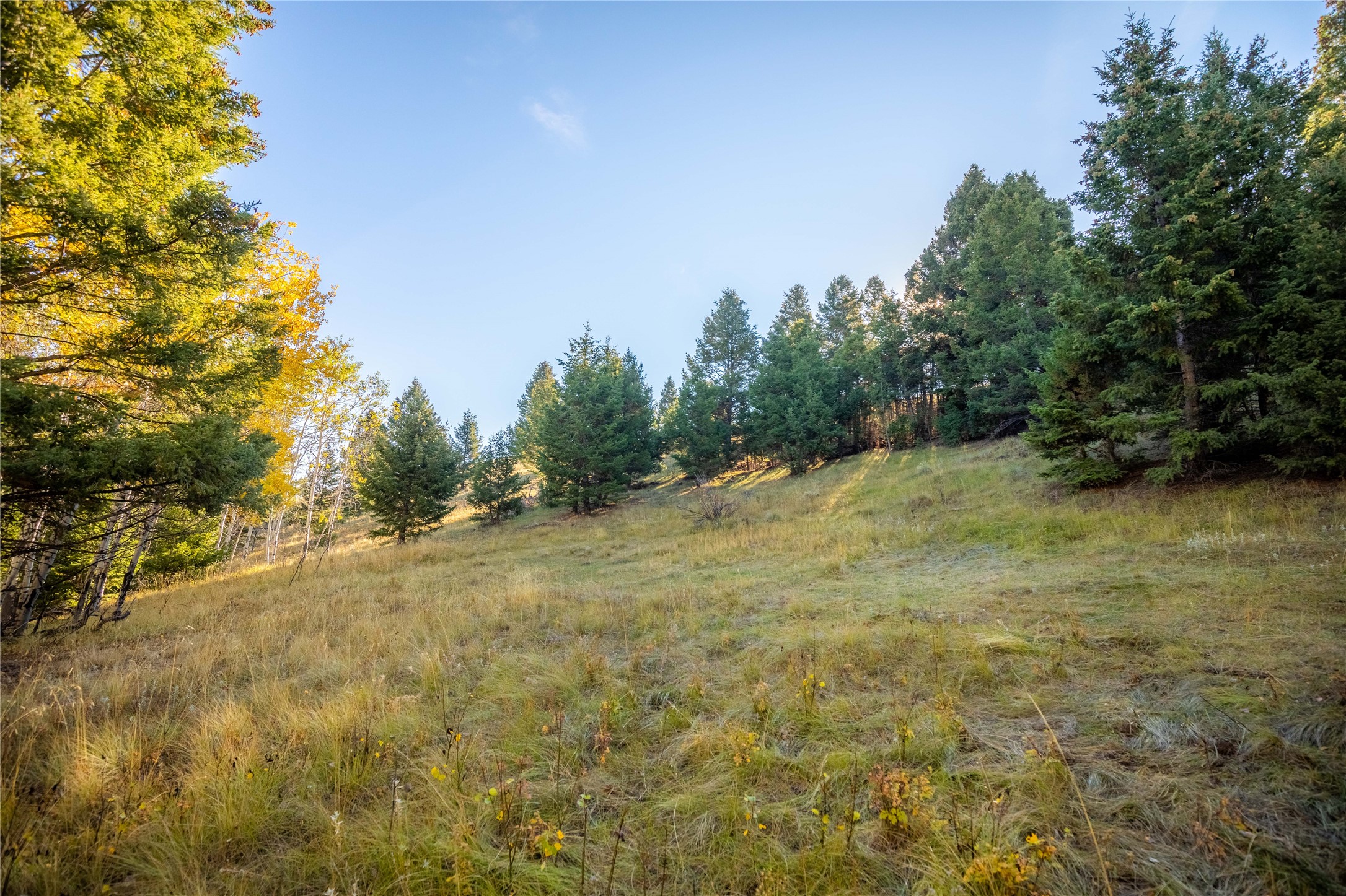 Nhn Lone Pine Gulch Road Property Photo 19