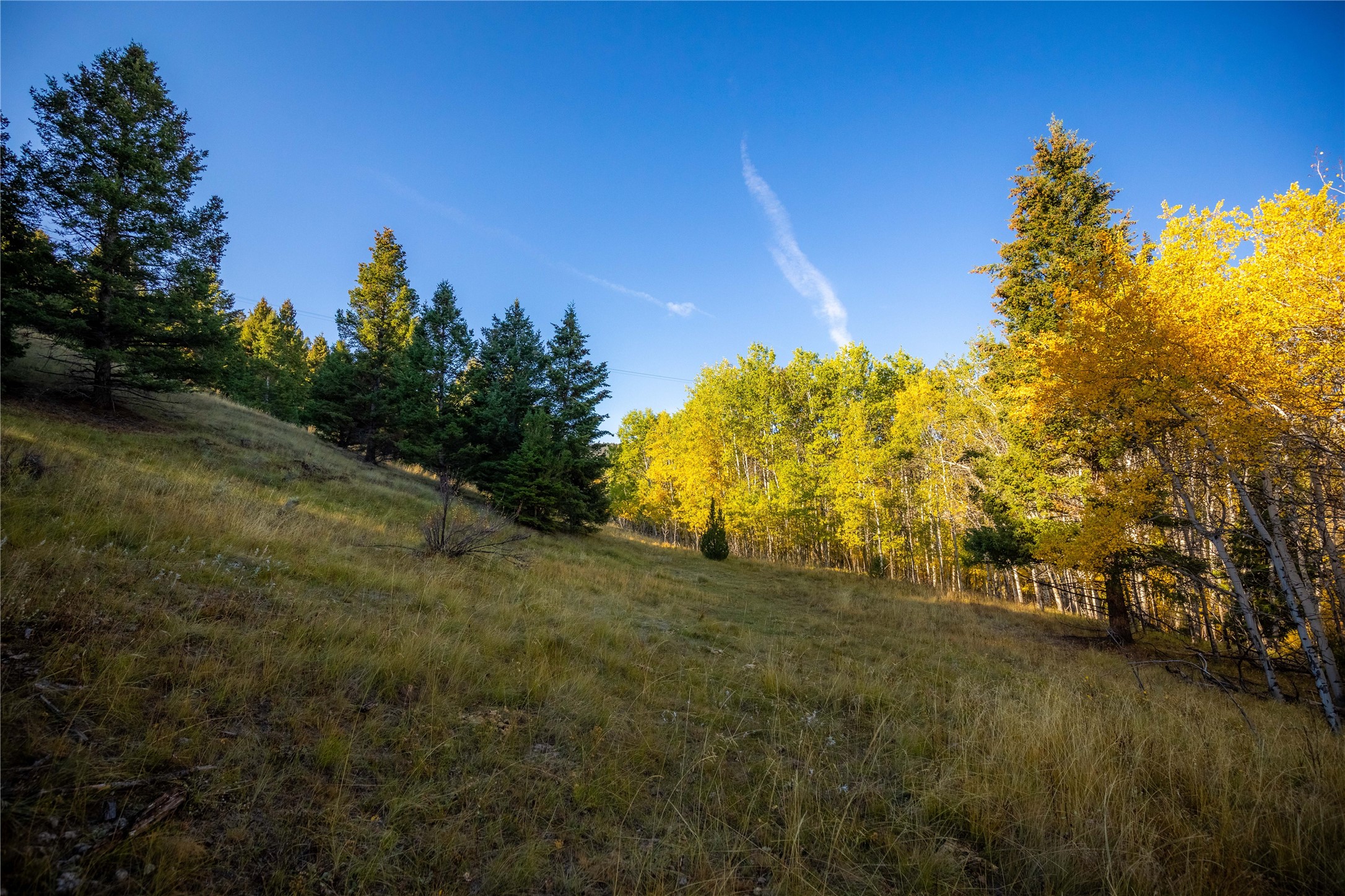 Nhn Lone Pine Gulch Road Property Photo 20