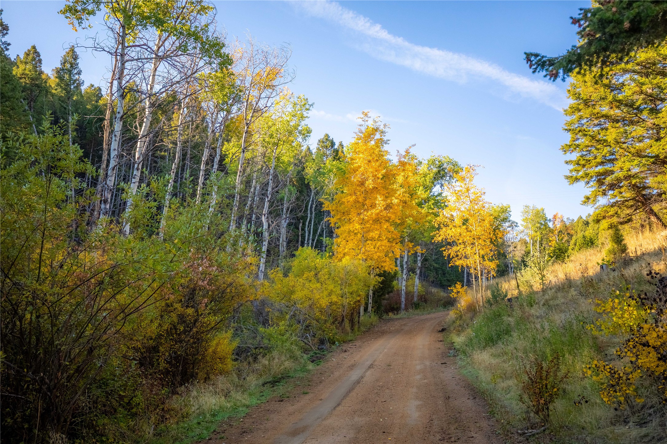 Nhn Lone Pine Gulch Road Property Photo 21