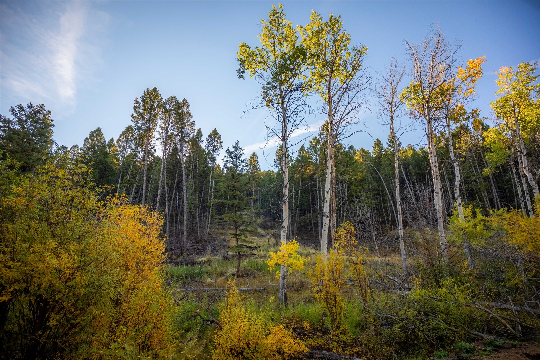 Nhn Lone Pine Gulch Road Property Photo 22
