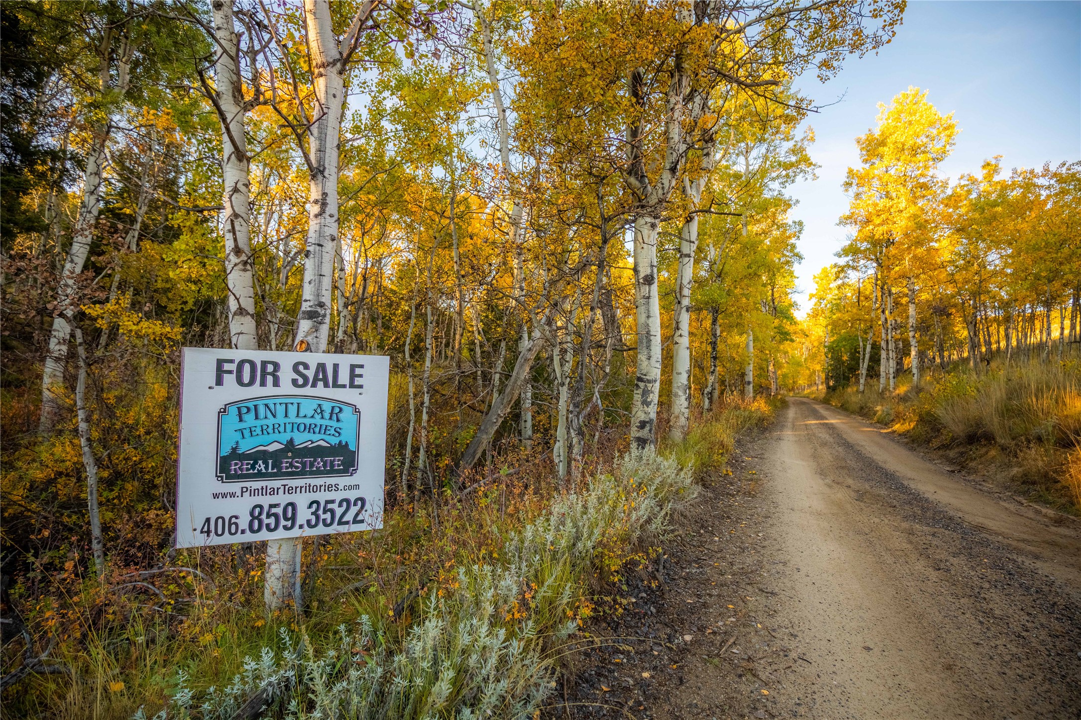 Nhn Lone Pine Gulch Road Property Photo 32