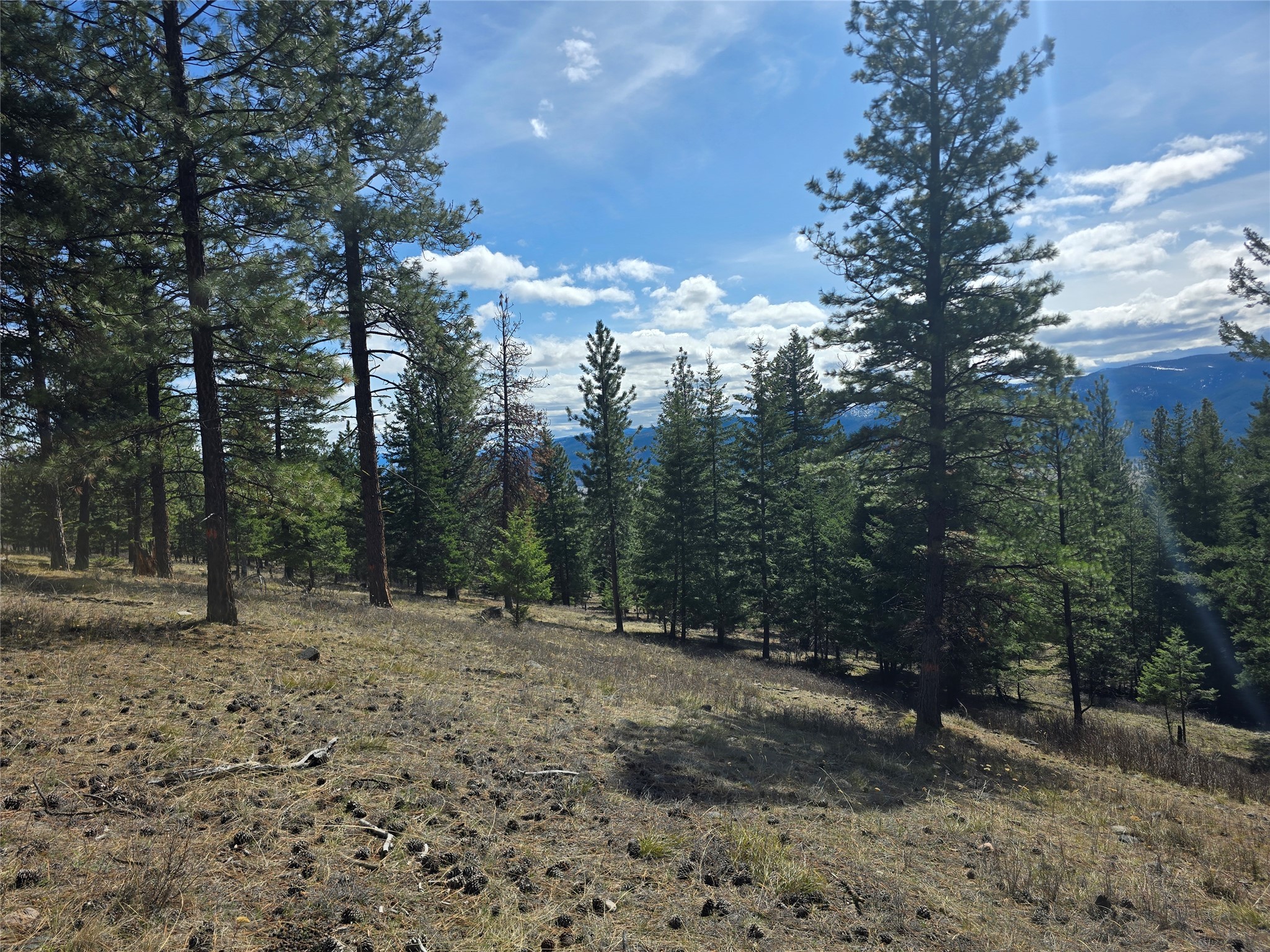Nhn . Property Photo