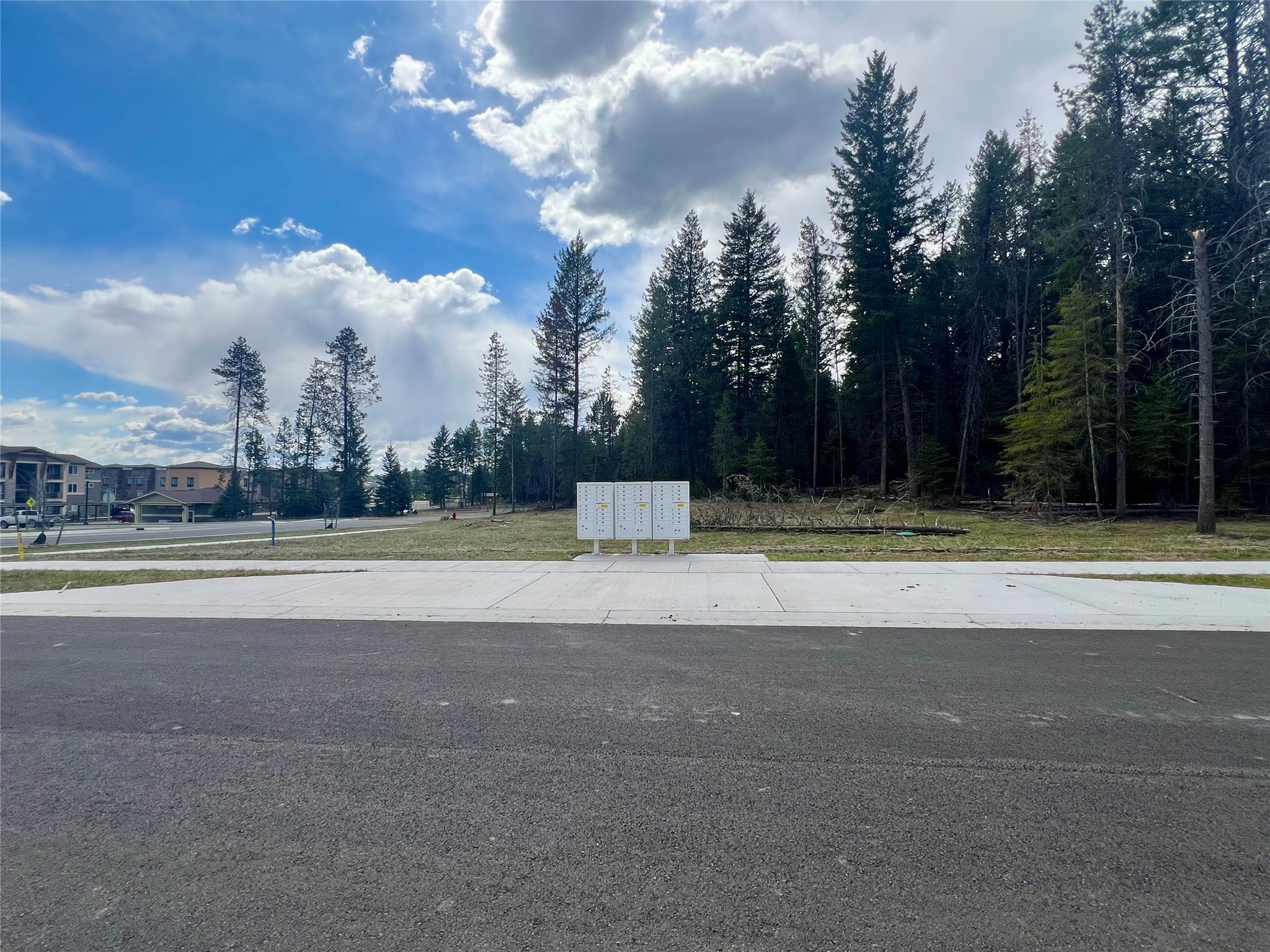 258 Canopy Trail Property Photo 16