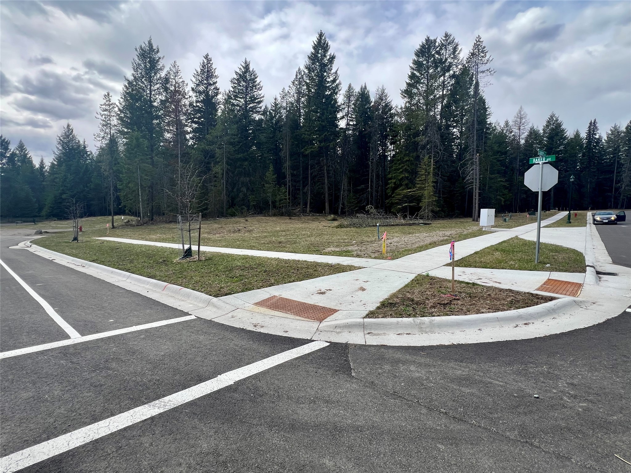 262 Canopy Trail Property Photo 19