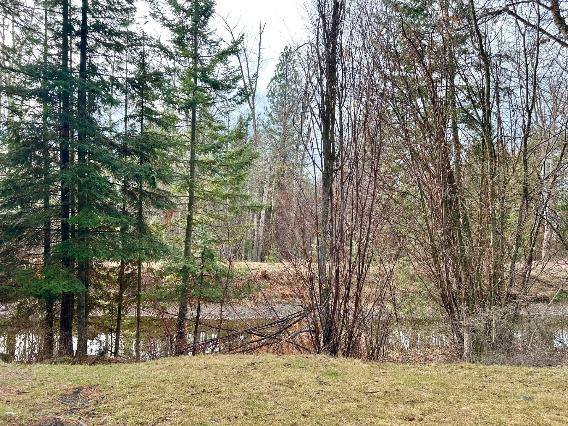 41510 Canal Road Property Photo 32
