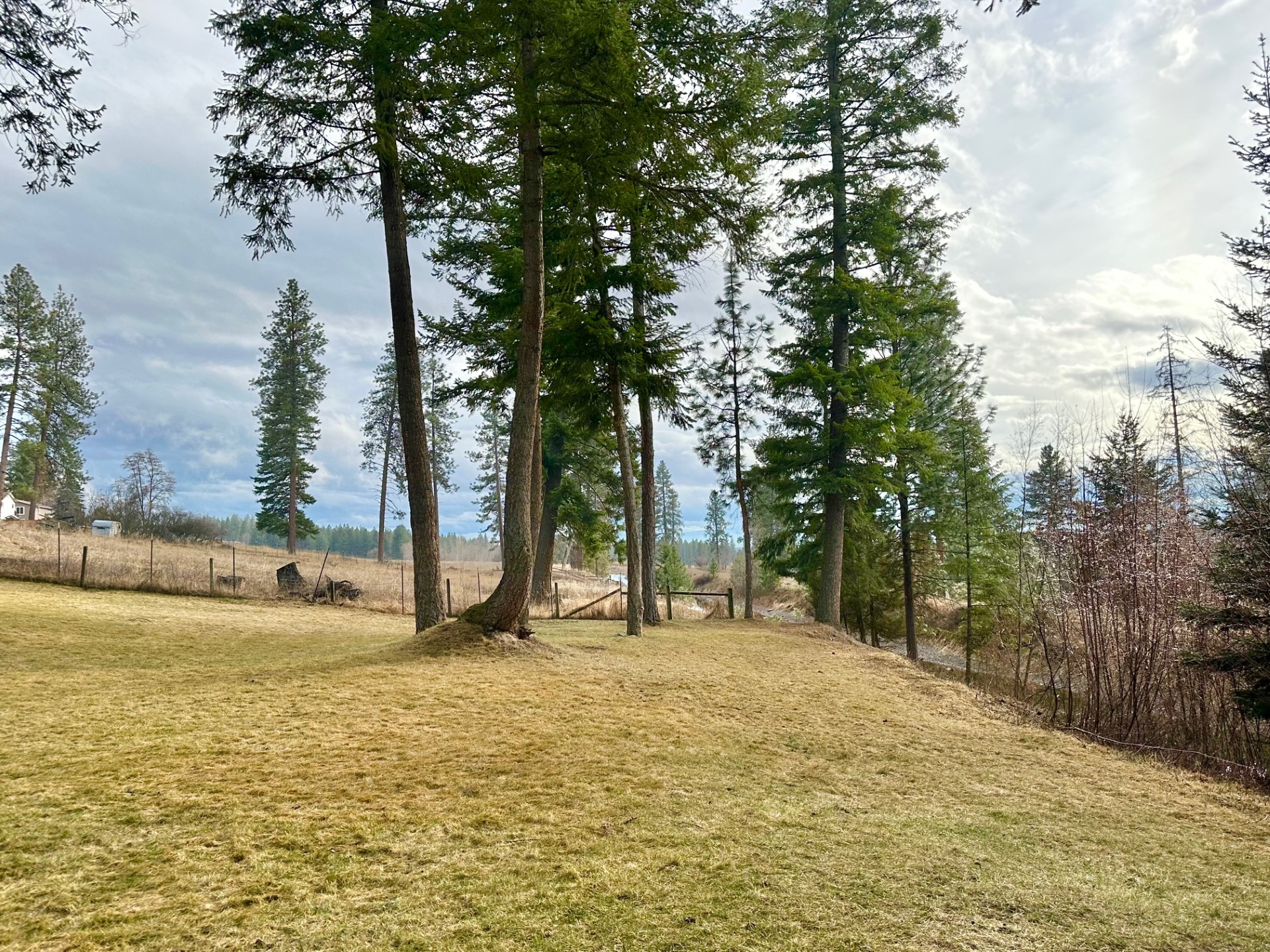 41510 Canal Road Property Photo 33