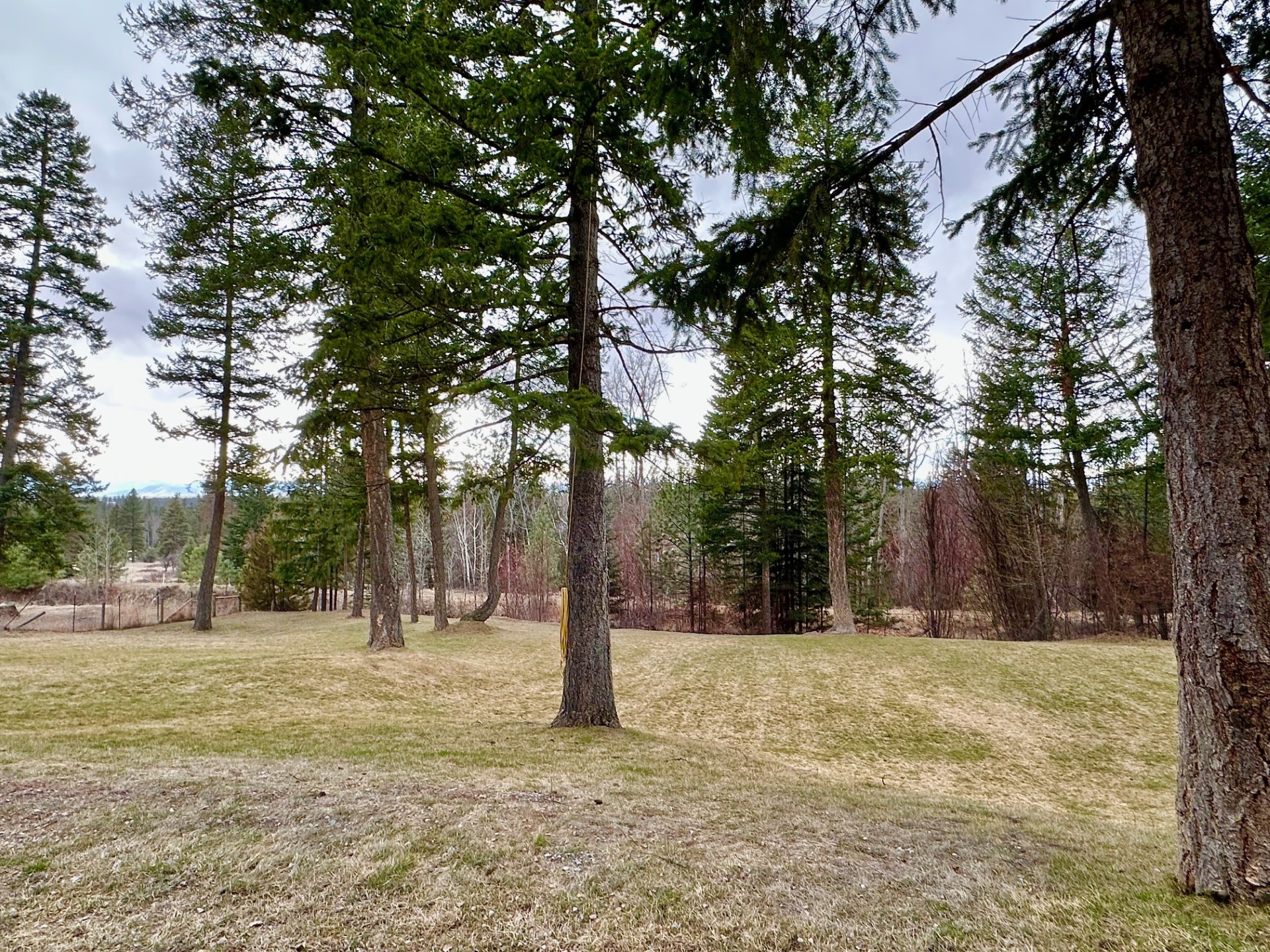 41510 Canal Road Property Photo 39