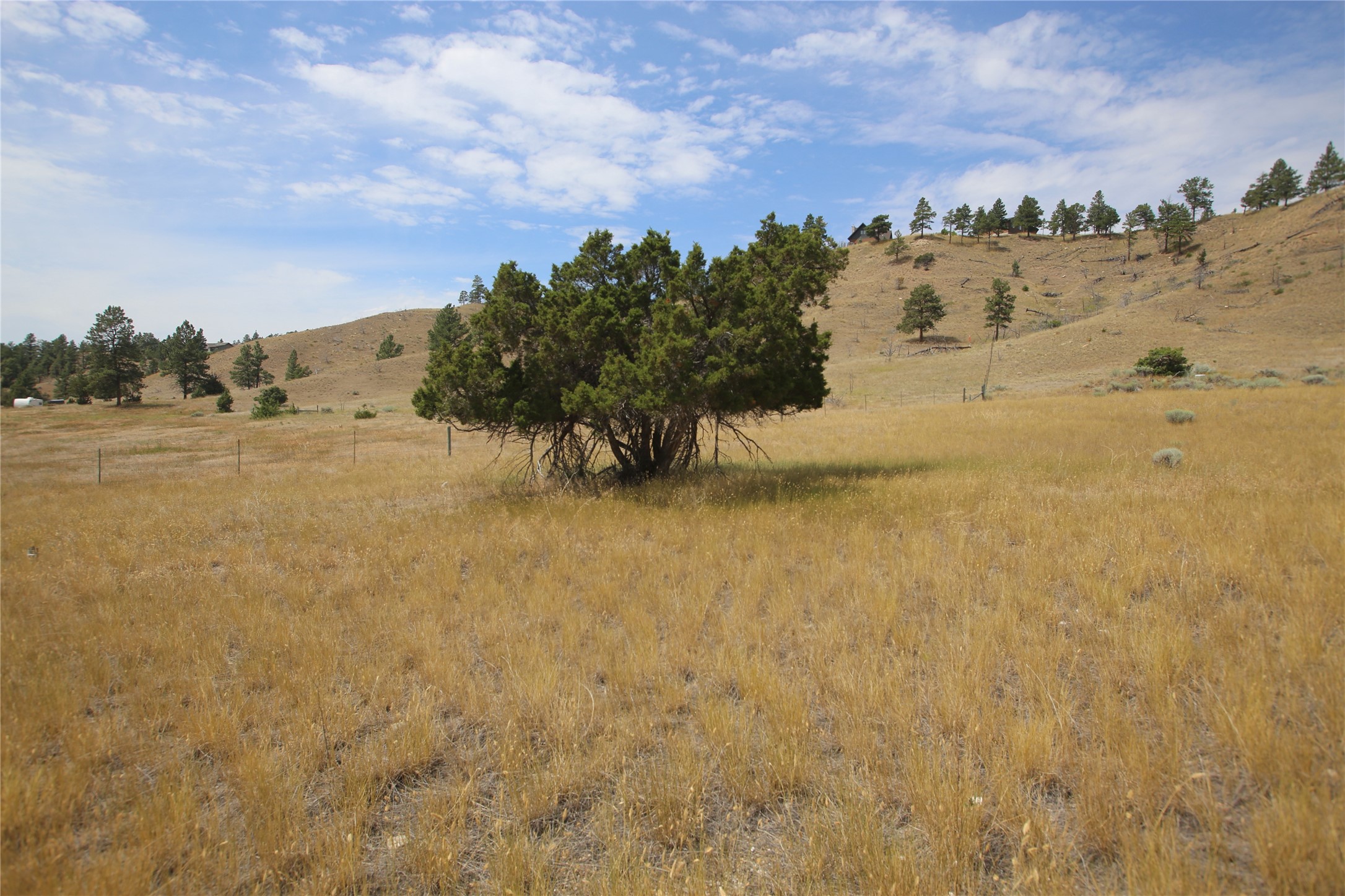 8520 Canyon Ferry Road Property Photo 36