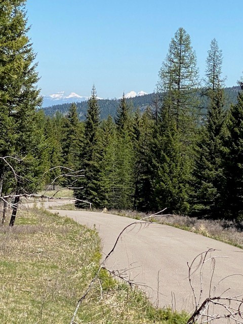 517 Haskill Ranch Road Property Photo 1