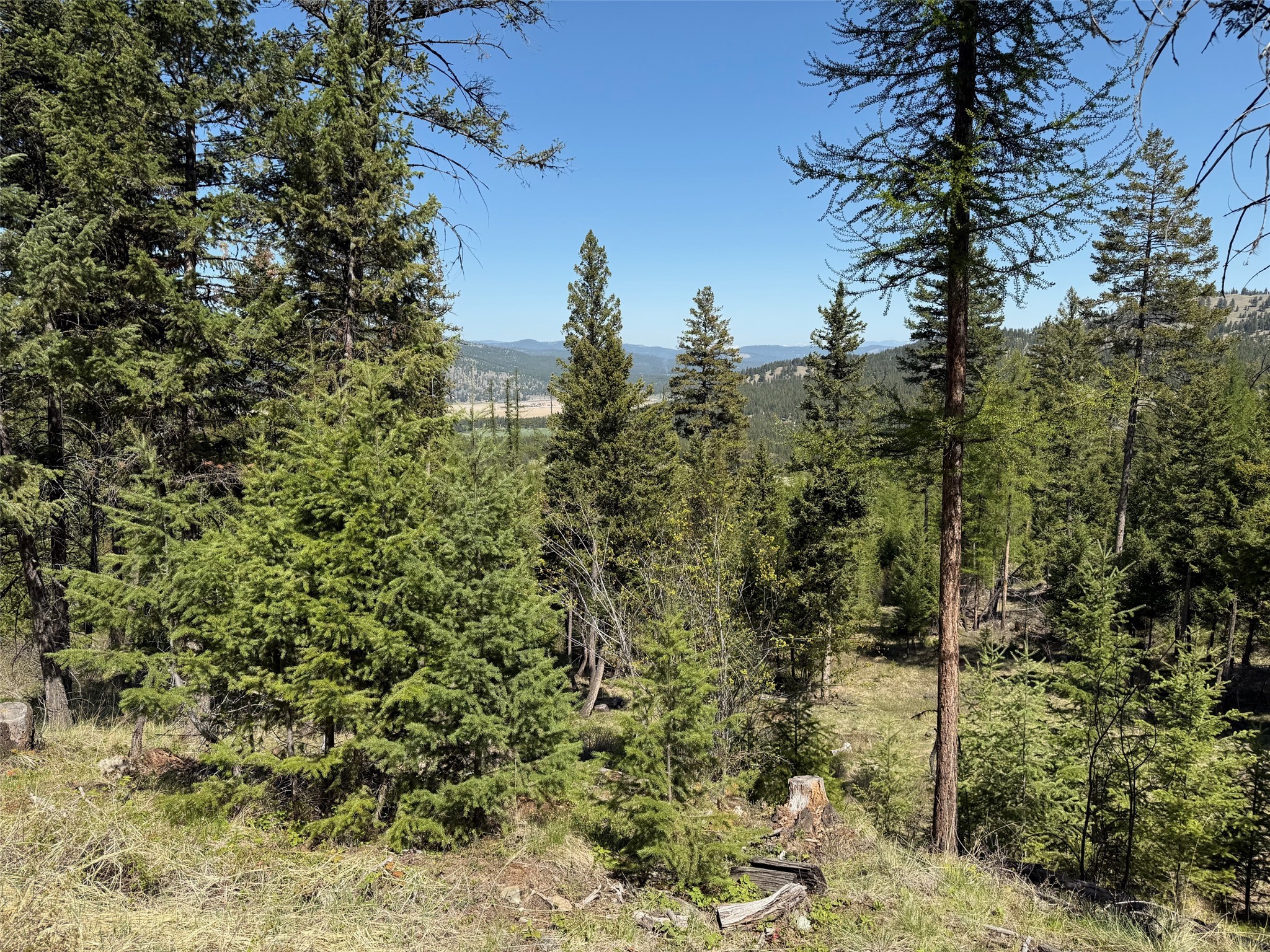 Nhn Whitetail Ridge Road Property Photo