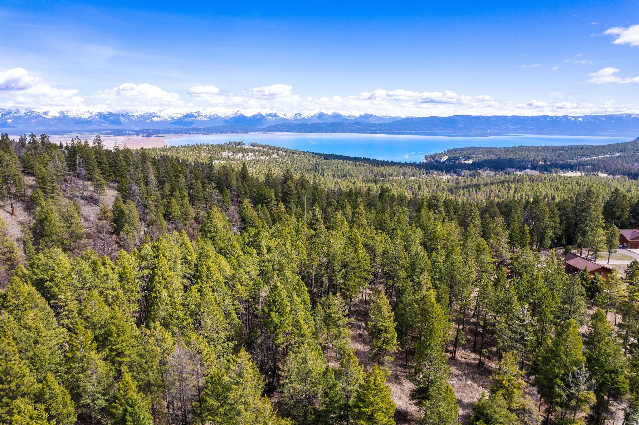 865 Lone Osprey Ridge Property Photo 1