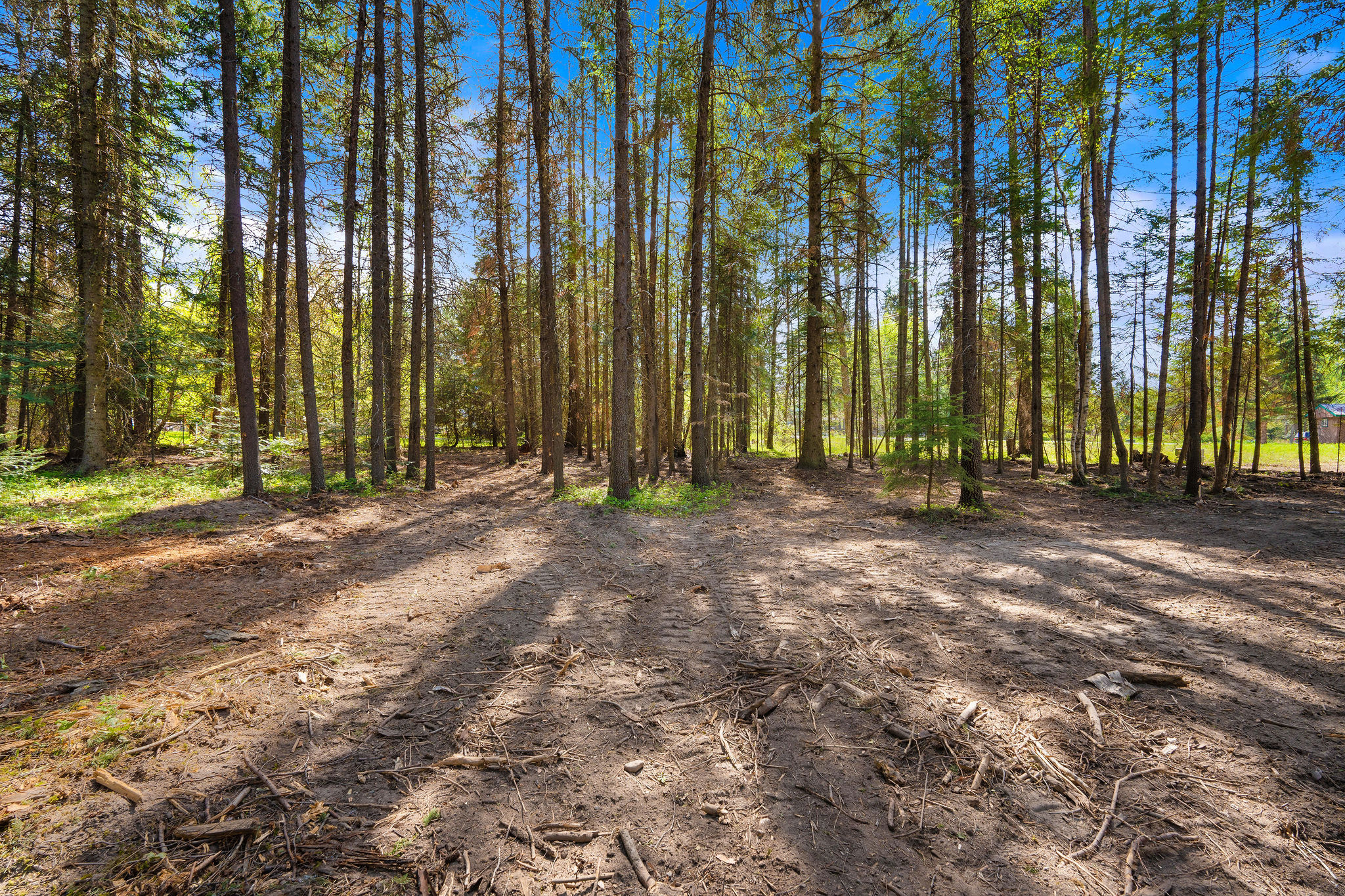 1365 Mt Highway 209 Property Photo 1