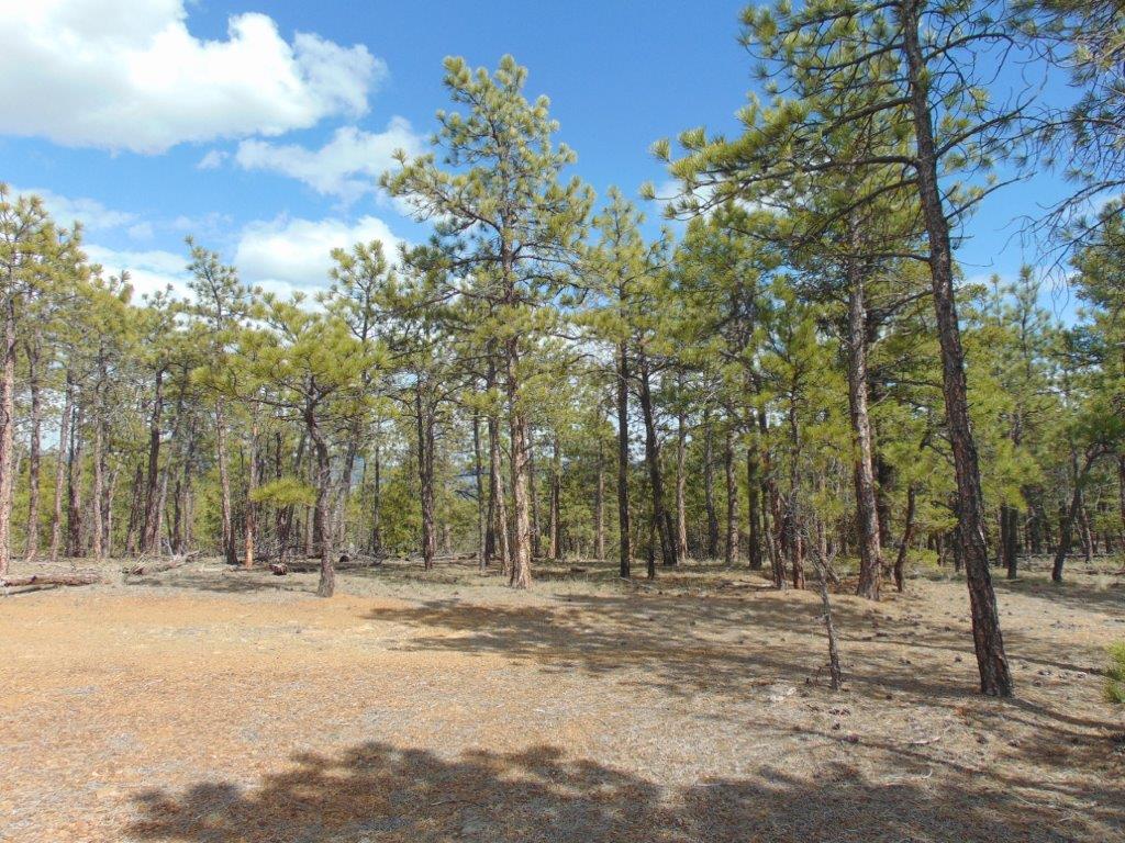 29 Sweetwater Road Property Photo