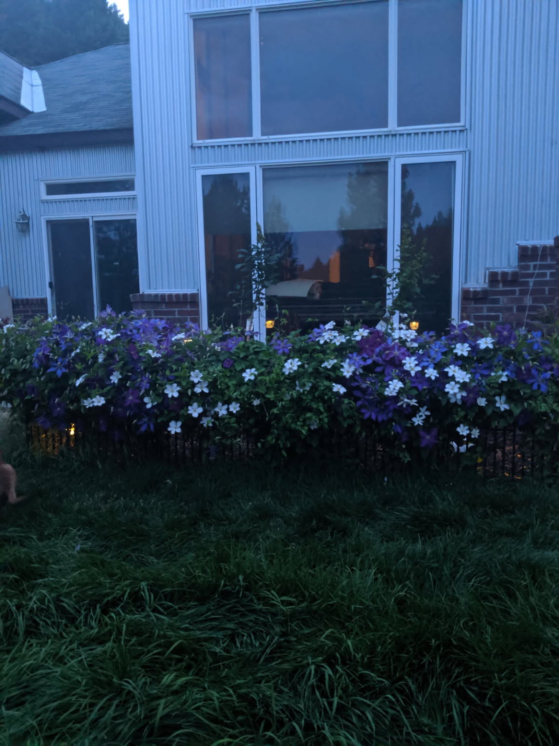 11327 Sleeman Lane Property Photo 9