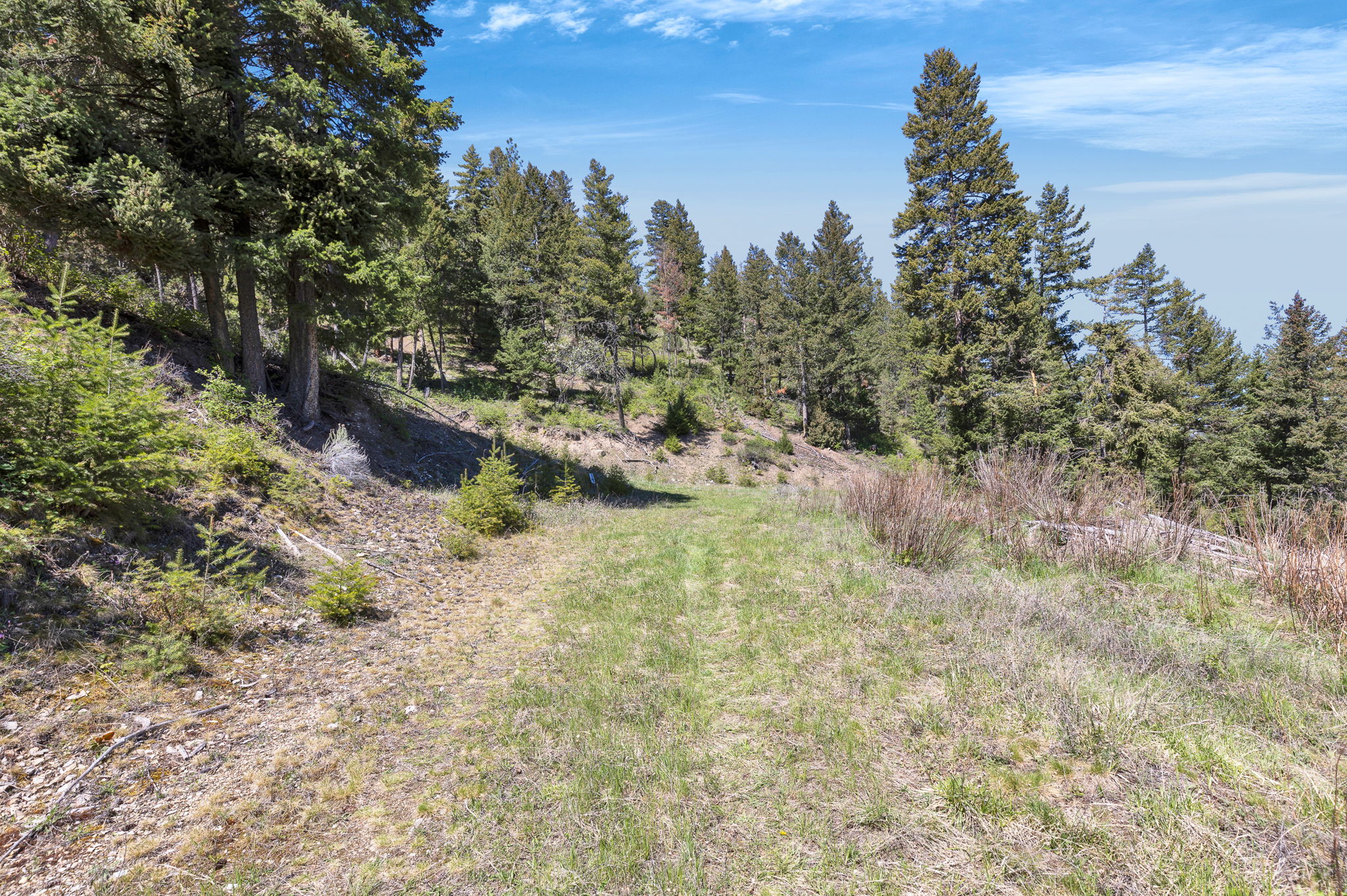 11327 Sleeman Lane Property Photo 69