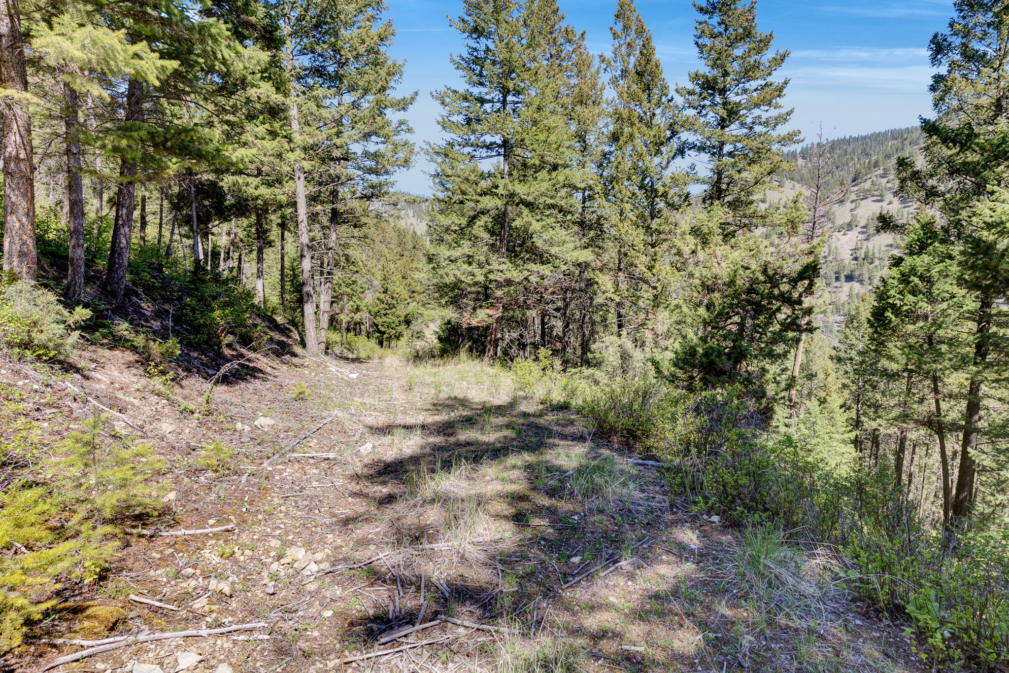 11327 Sleeman Lane Property Photo 70