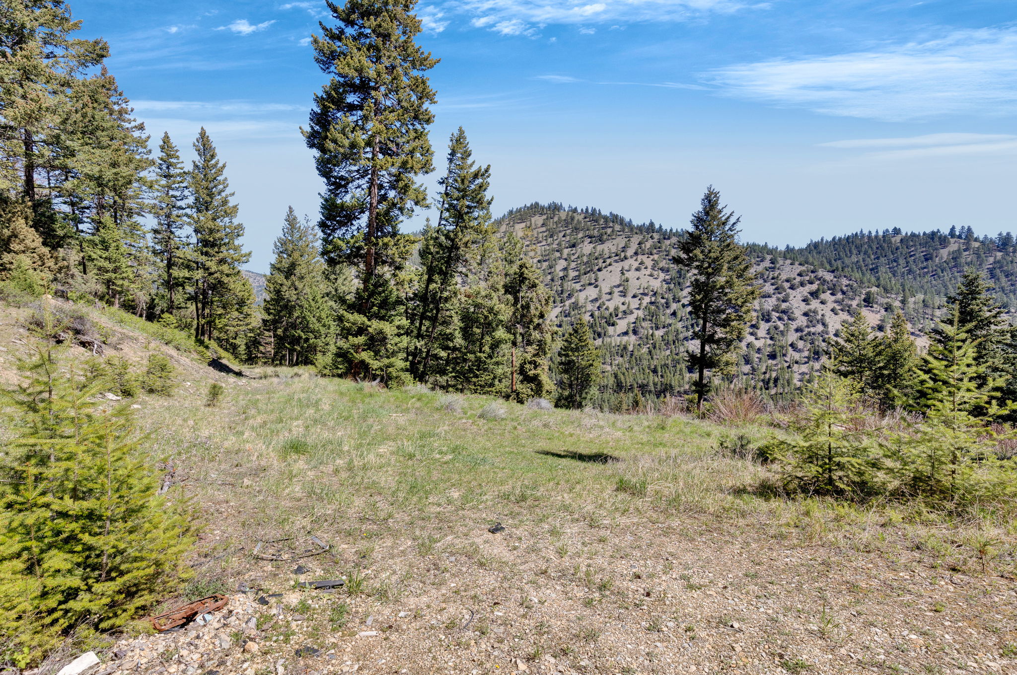 11327 Sleeman Lane Property Photo 71