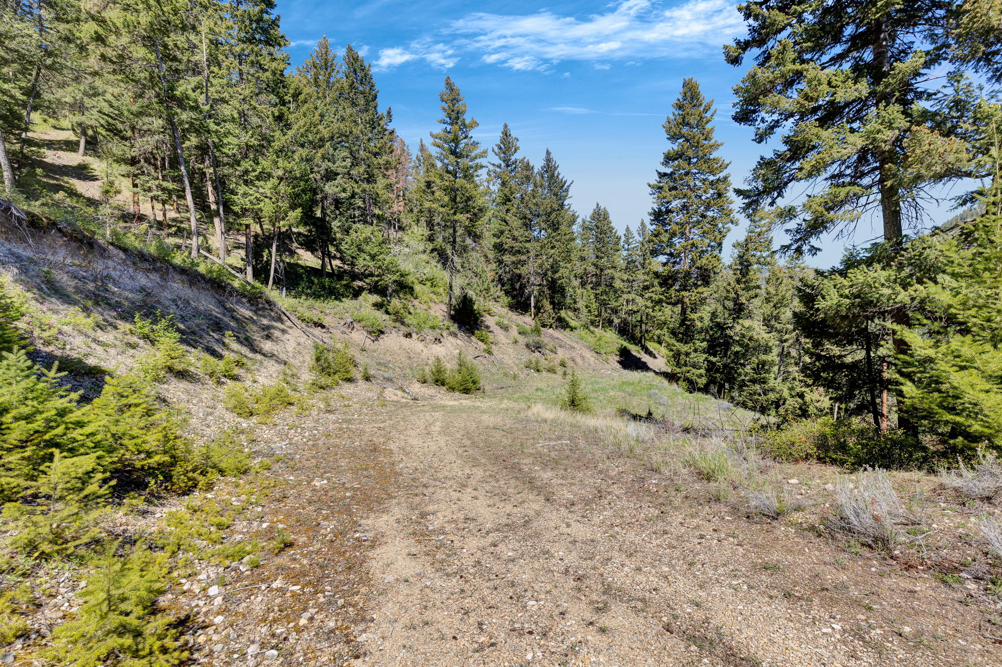 11327 Sleeman Lane Property Photo 72