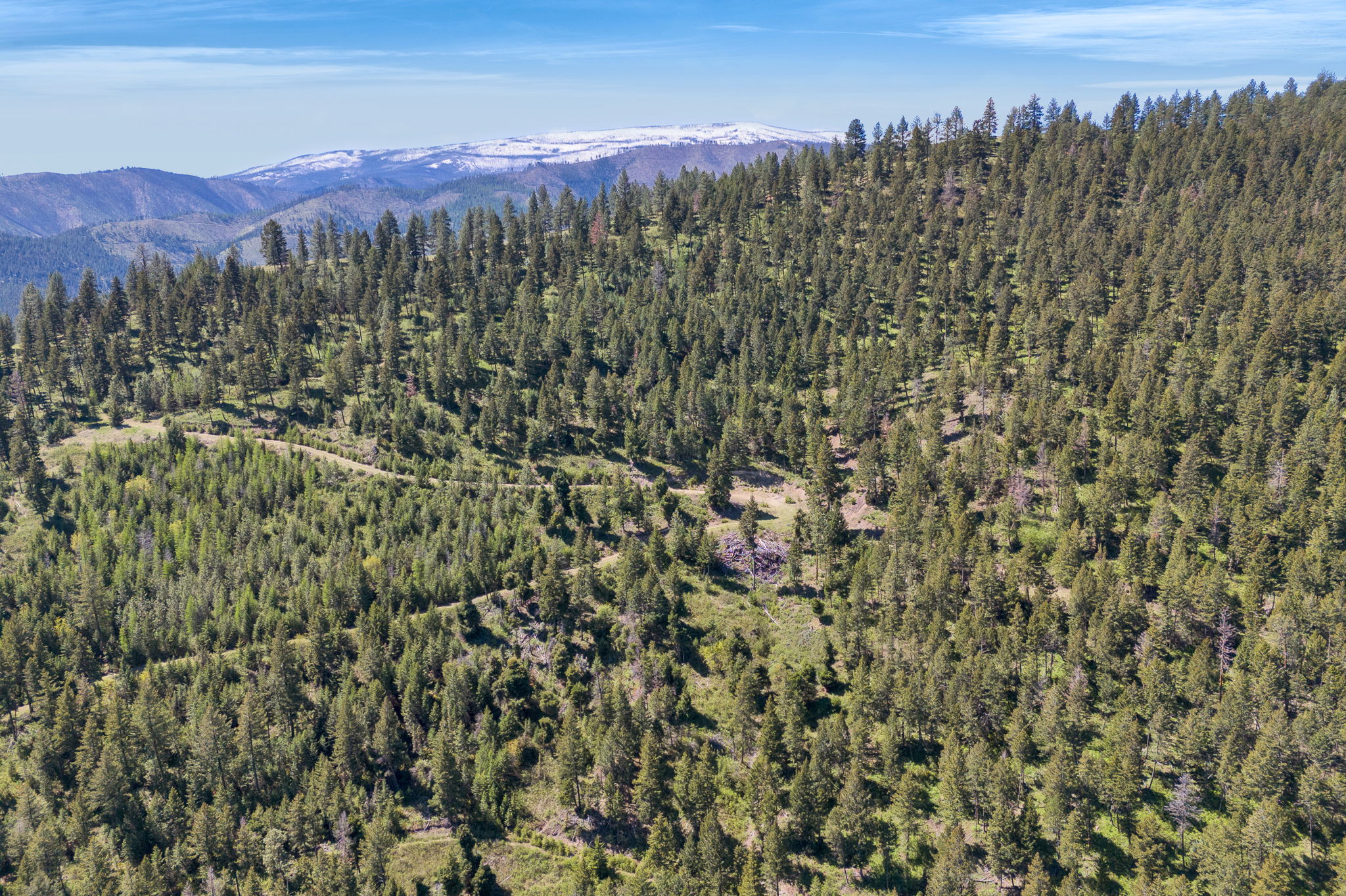 11327 Sleeman Lane Property Photo 80