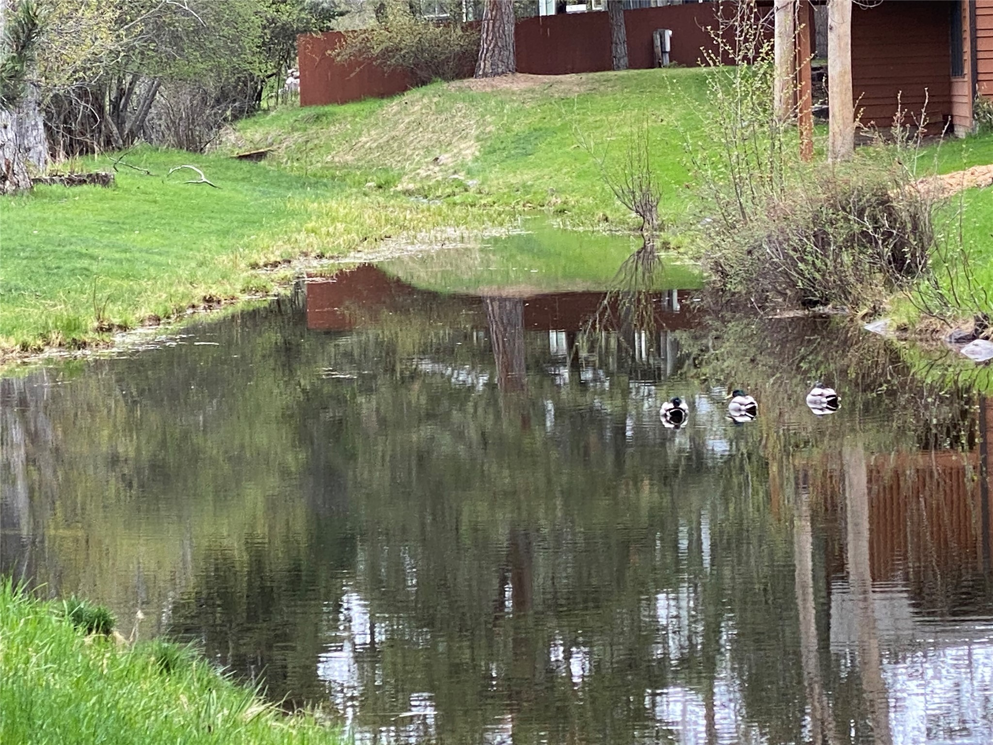 7 Brookside Property Photo 44