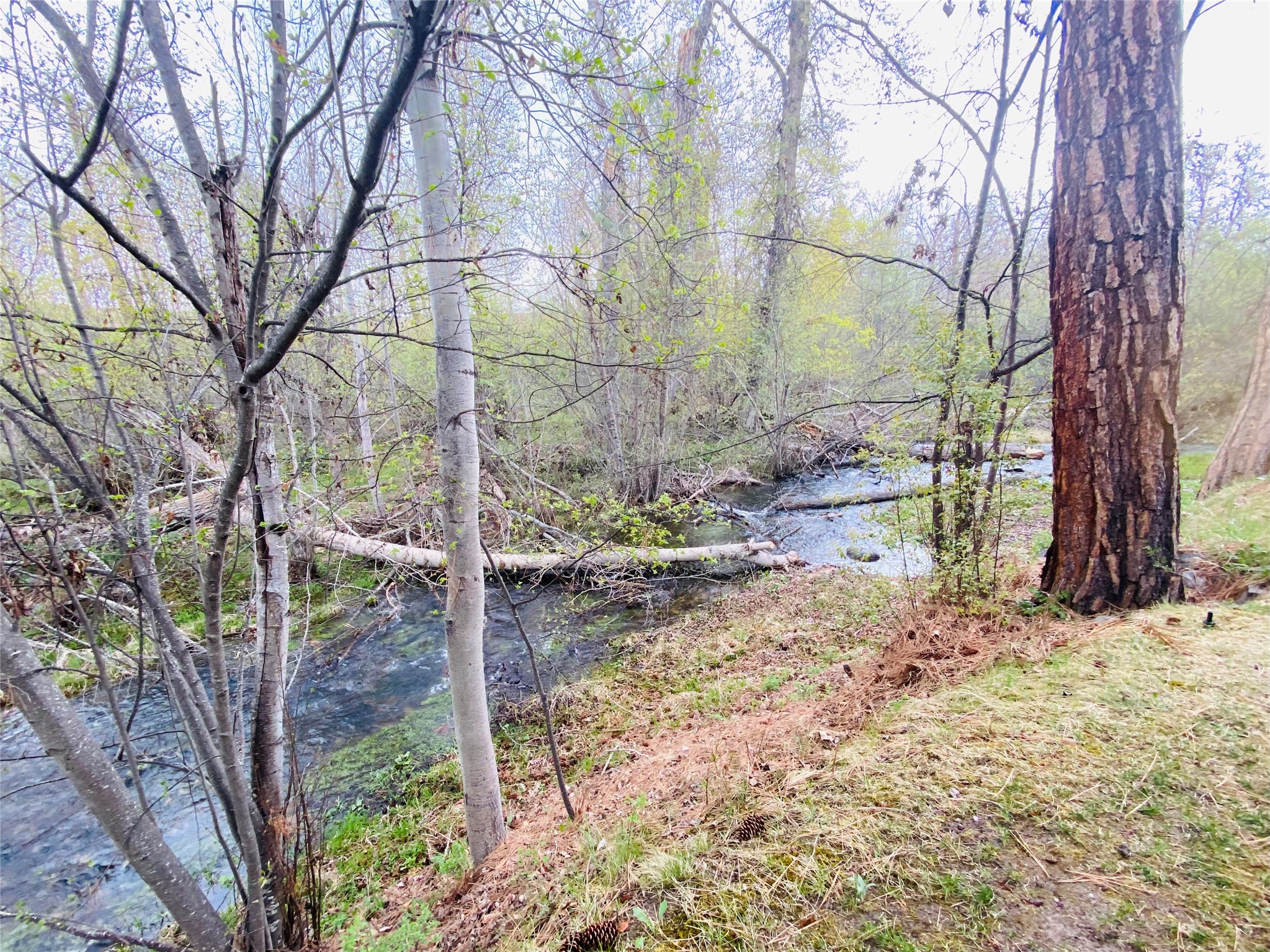 7 Brookside Property Photo 54