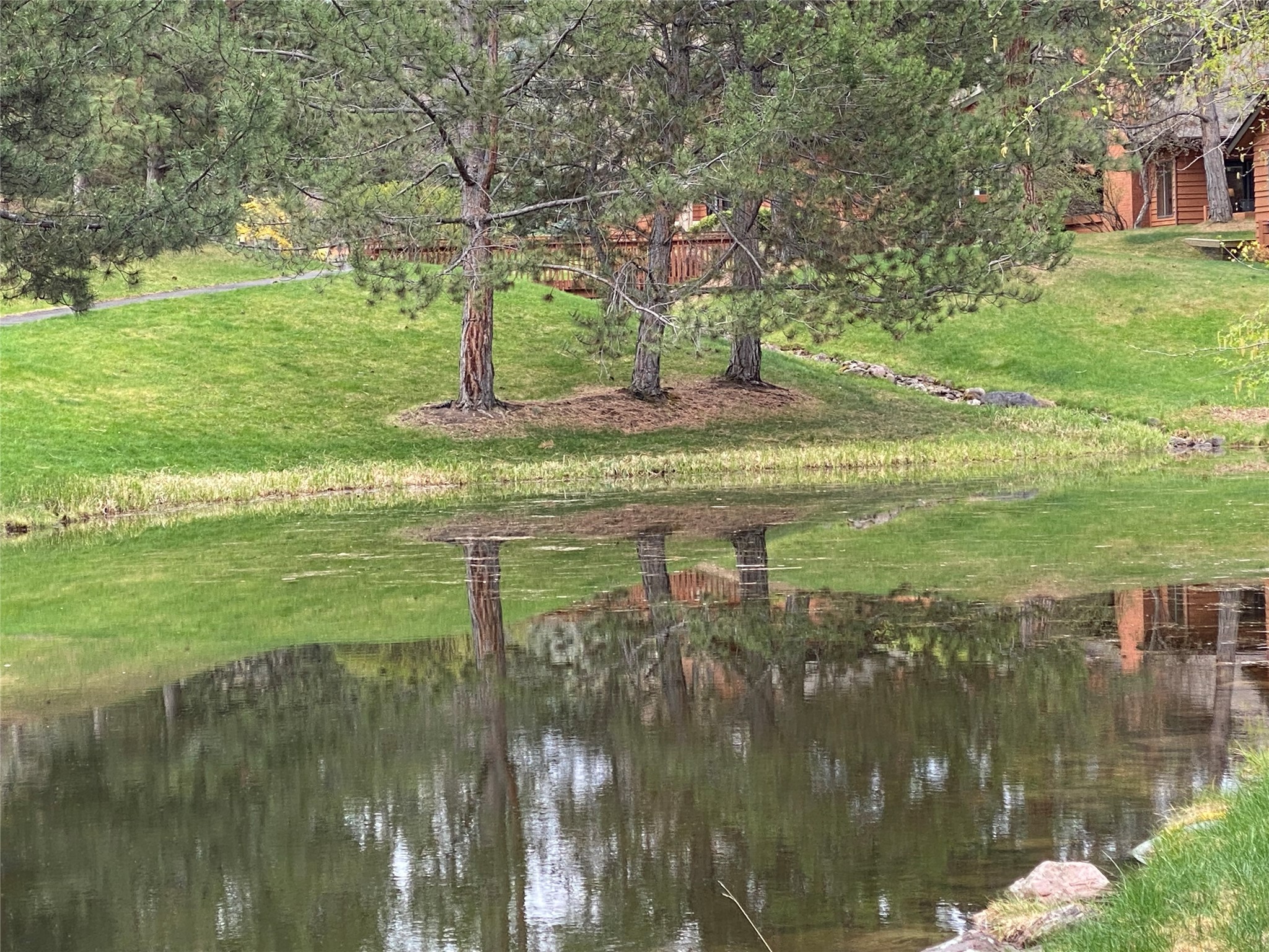 7 Brookside Property Photo 63