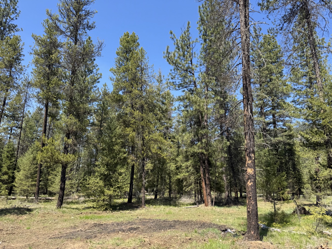 Nhn Franko Lane Property Photo