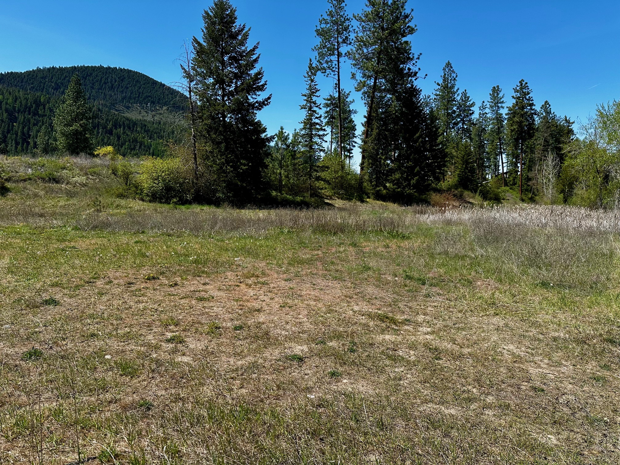 NKA Osprey Loop Property Photo 1