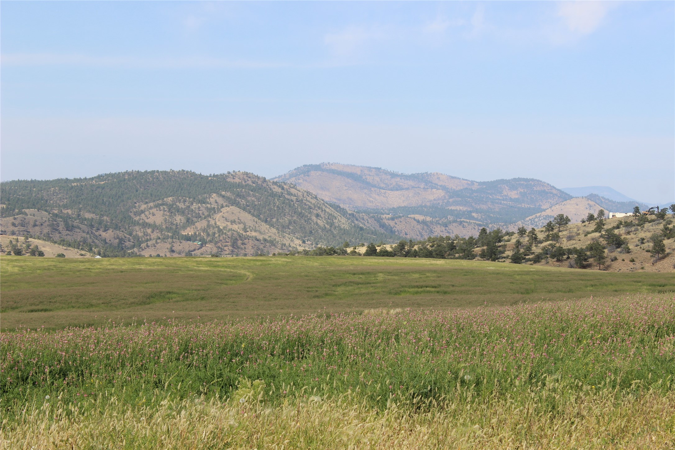 Nhn Danas Point Drive Property Photo