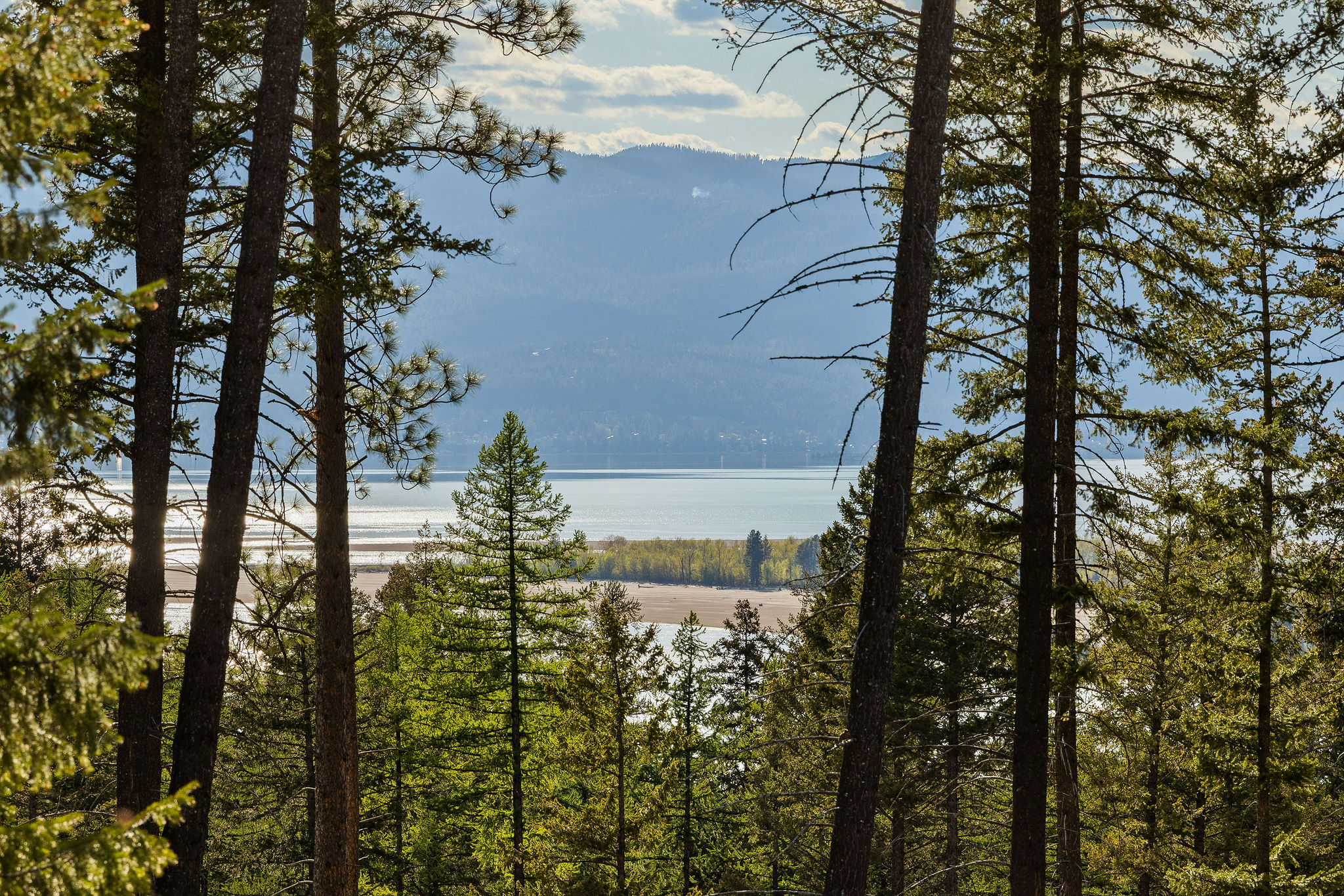 112 Trading Post Trail Property Photo 56