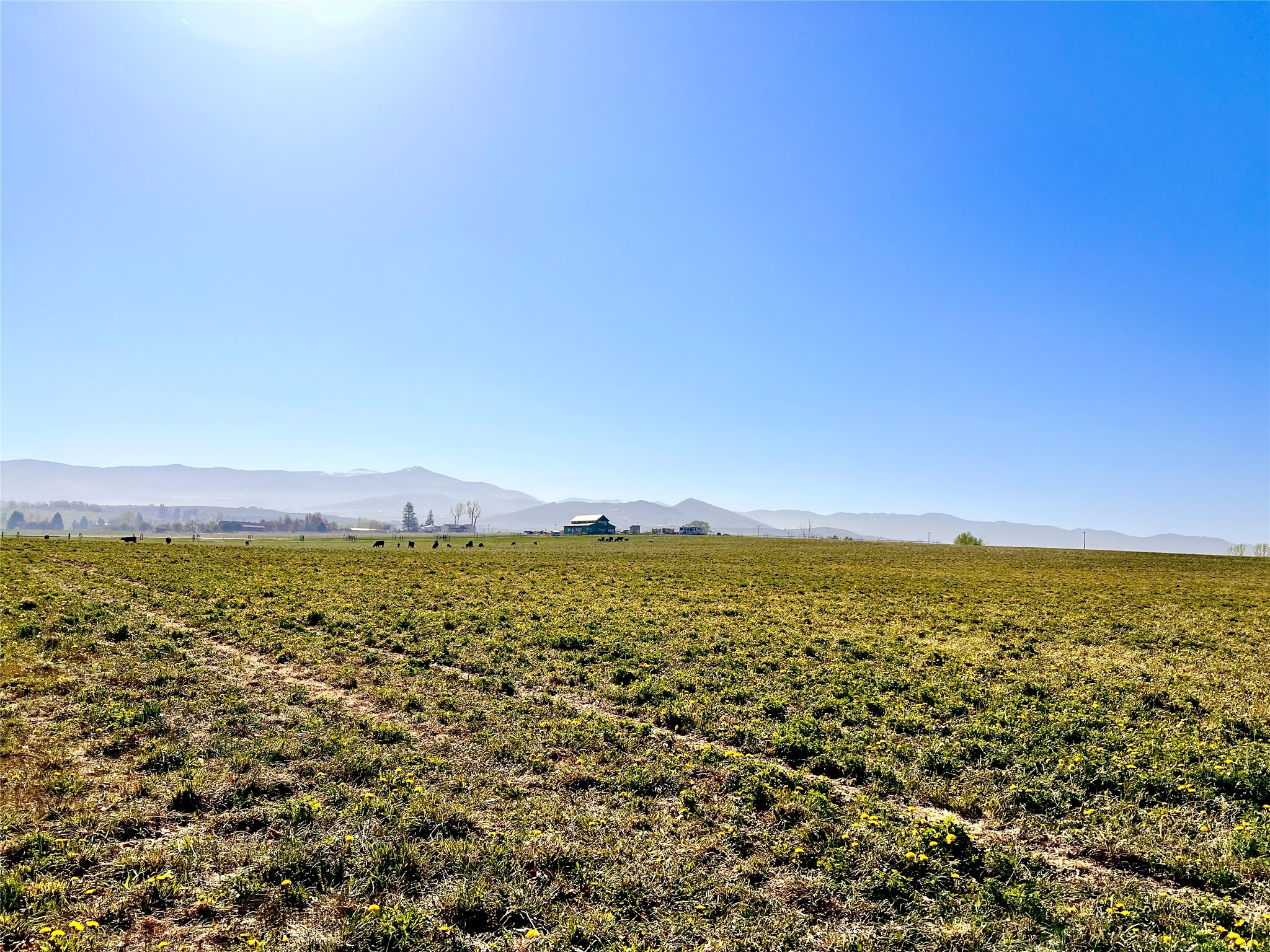 Nhn Sutherland Lane Property Photo 6