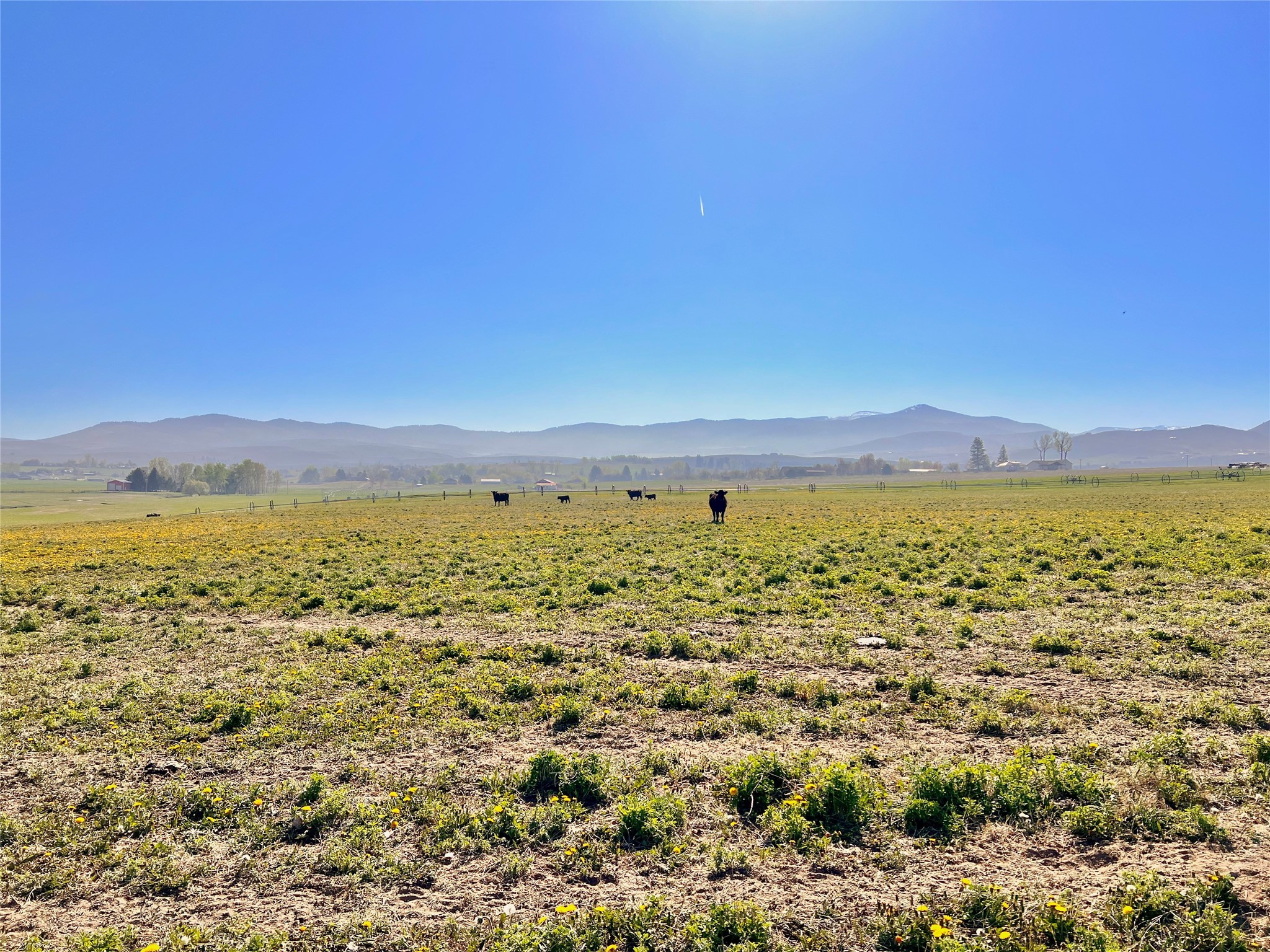 Nhn Sutherland Lane Property Photo 8