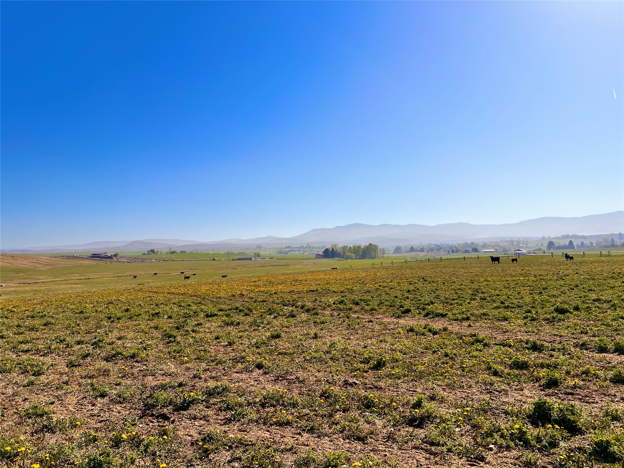 Nhn Sutherland Lane Property Photo 9