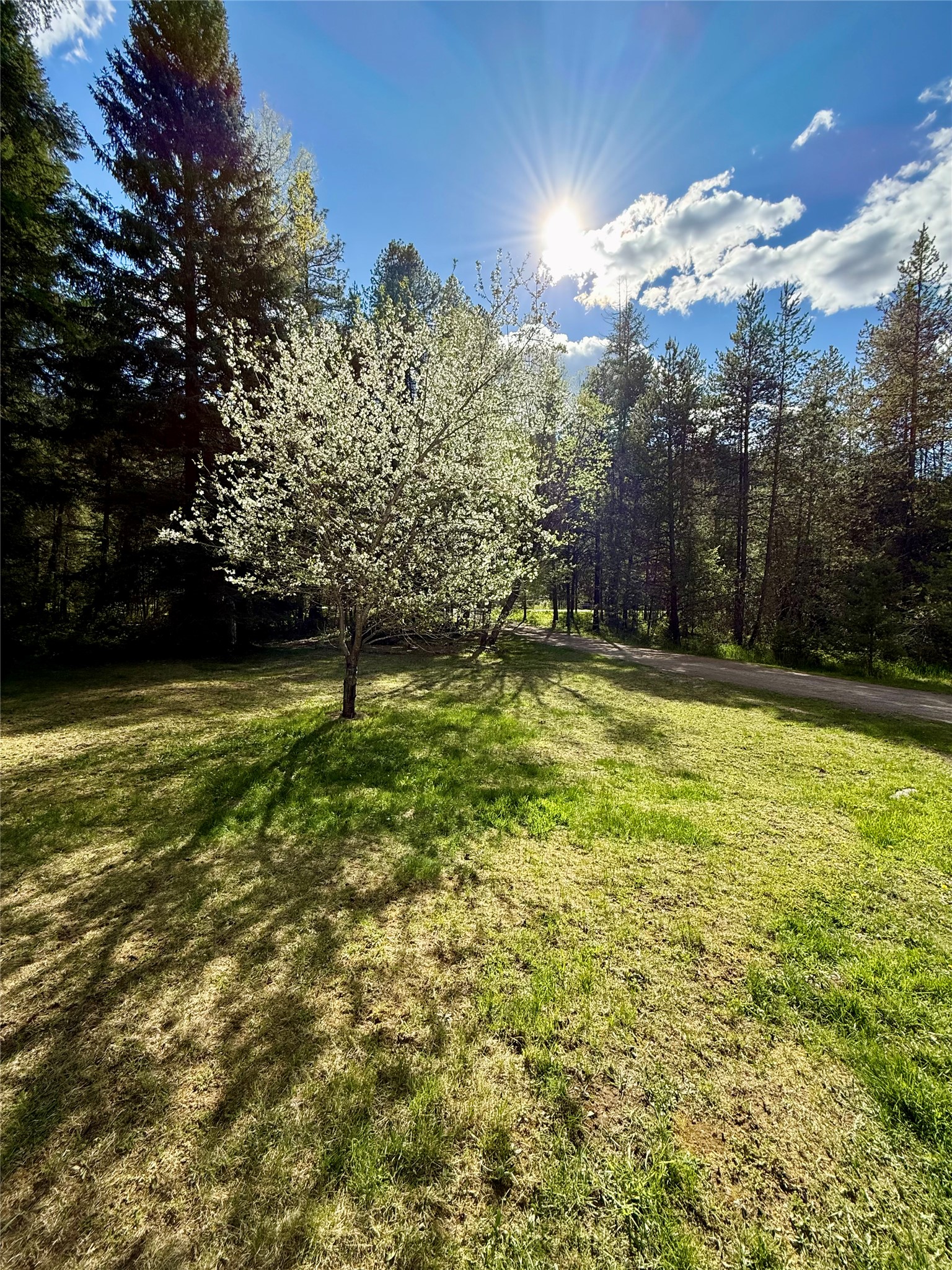 12437 Us Hwy 2 Property Photo 48