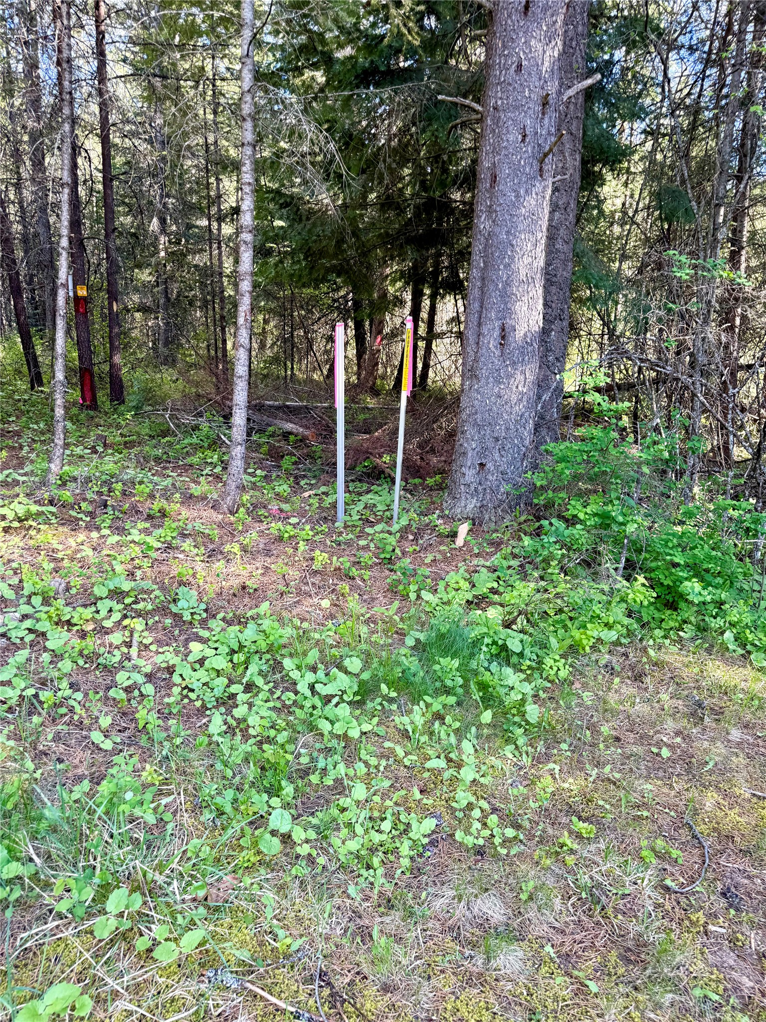 12437 Us Hwy 2 Property Photo 63
