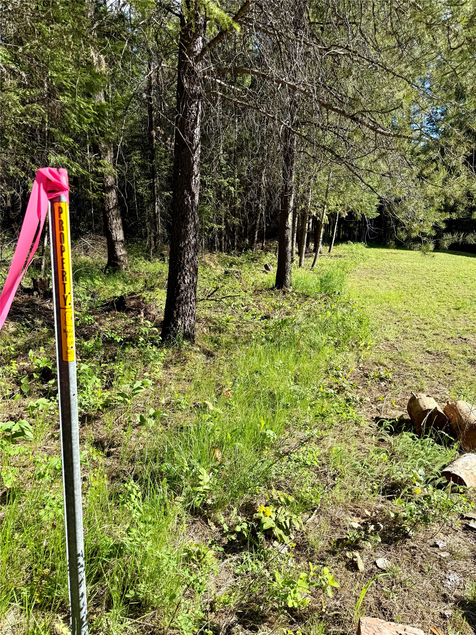 12437 Us Hwy 2 Property Photo 65