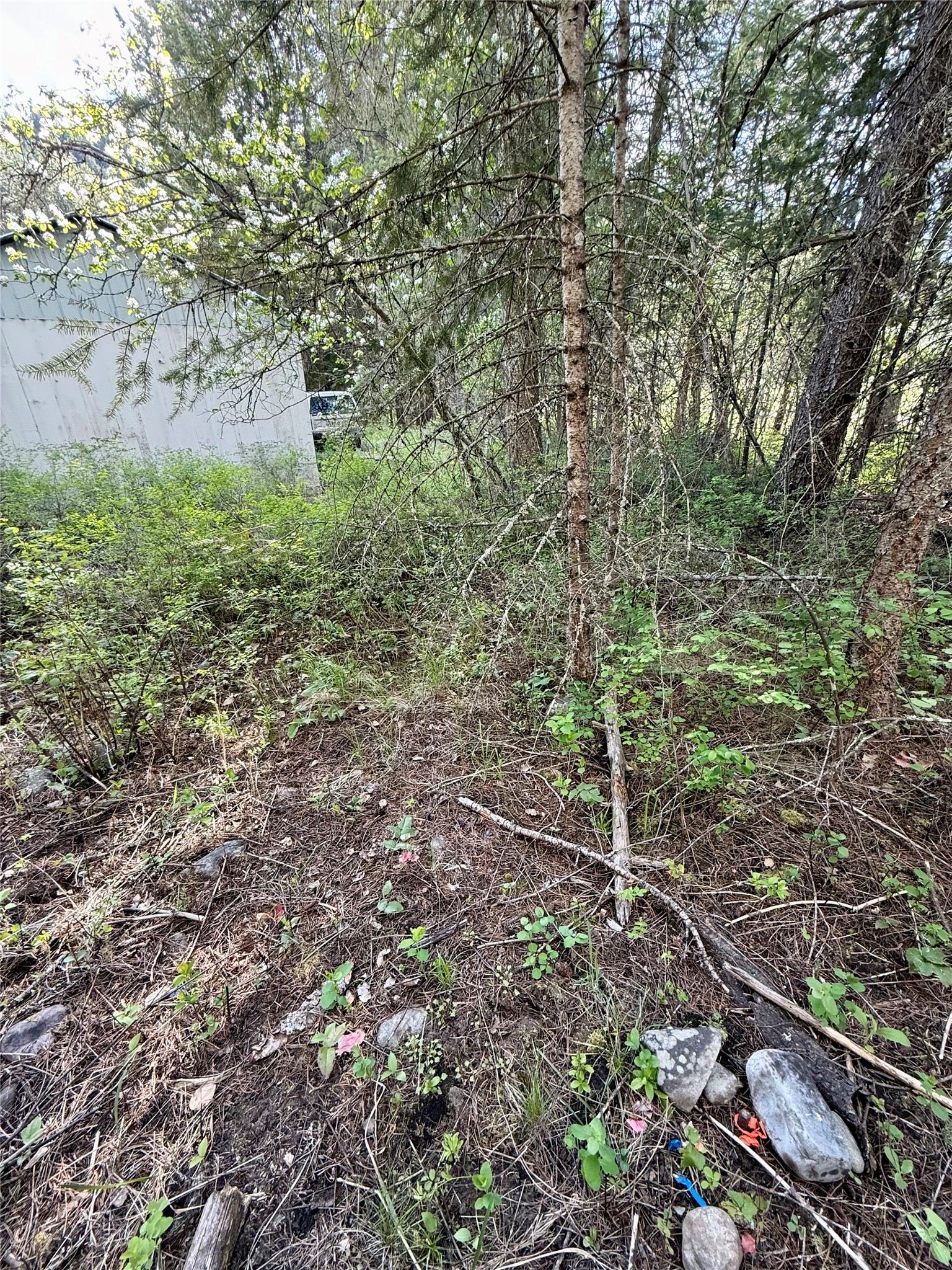 12437 Us Hwy 2 Property Photo 68