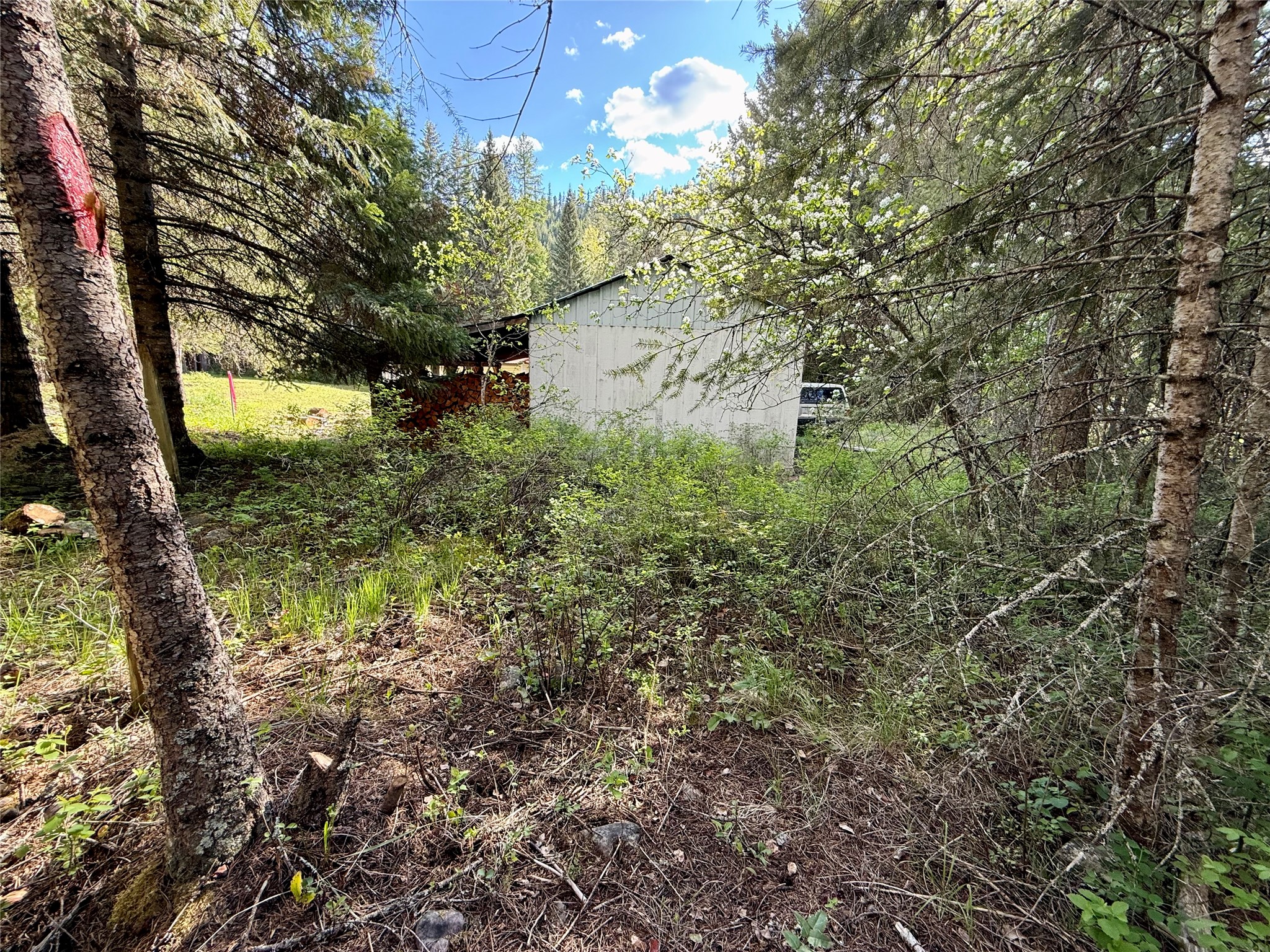 12437 Us Hwy 2 Property Photo 69