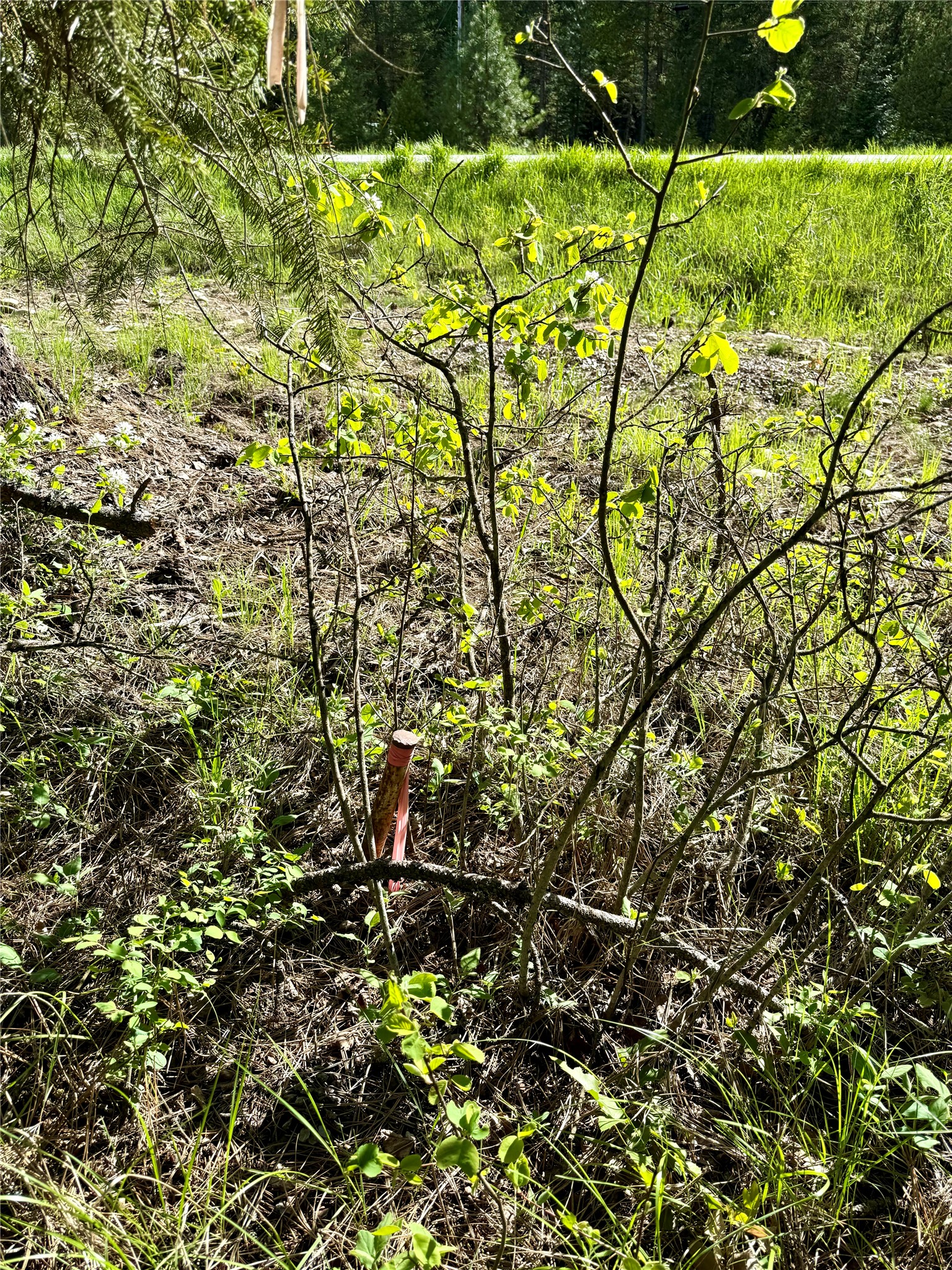 12437 Us Hwy 2 Property Photo 71