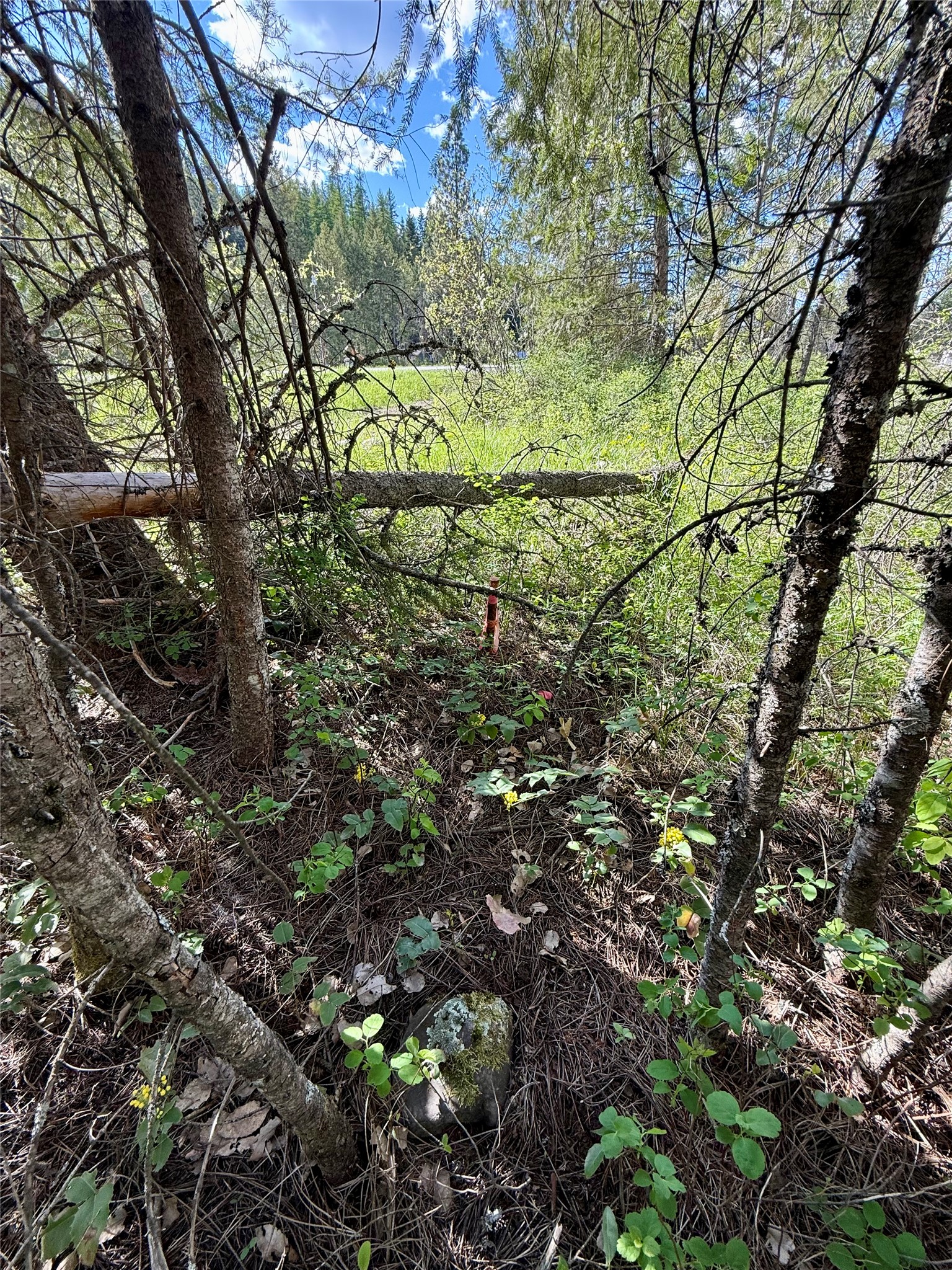 12437 Us Hwy 2 Property Photo 72