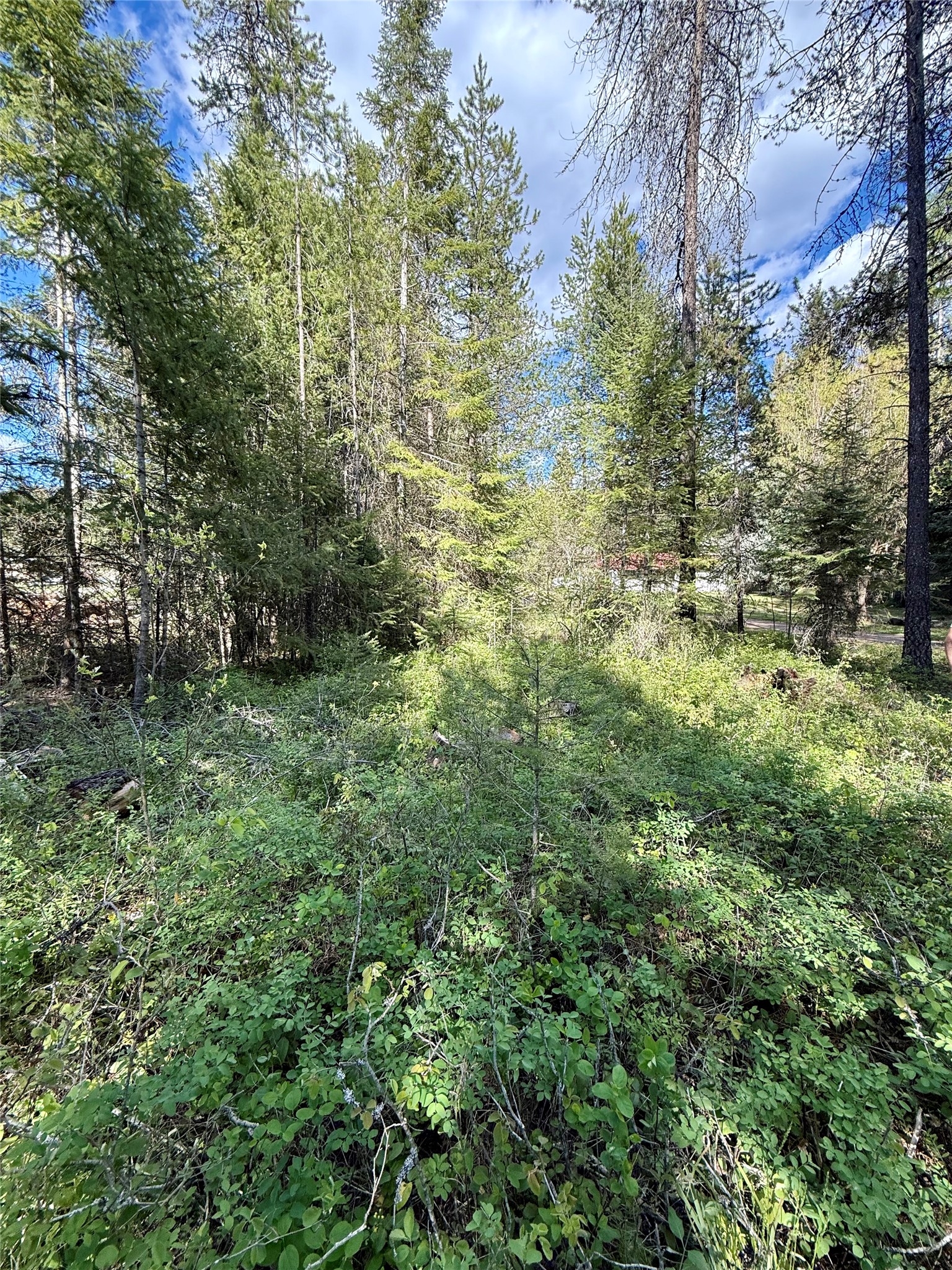 12437 Us Hwy 2 Property Photo 73