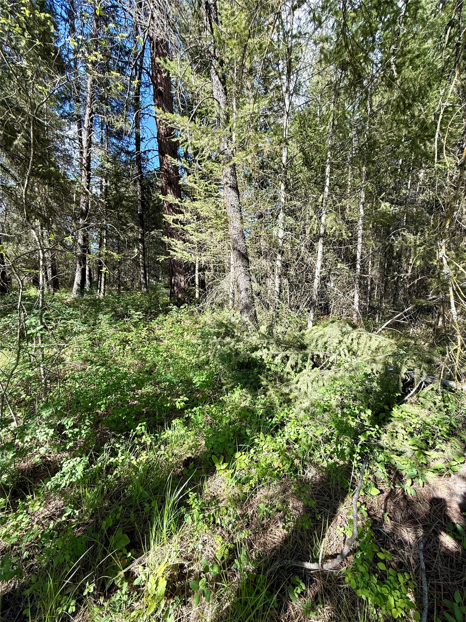 12437 Us Hwy 2 Property Photo 74