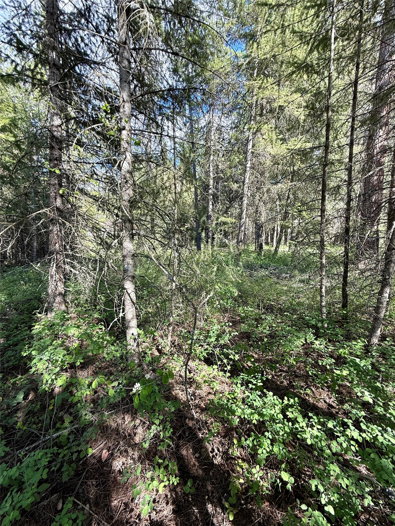 12437 Us Hwy 2 Property Photo 75