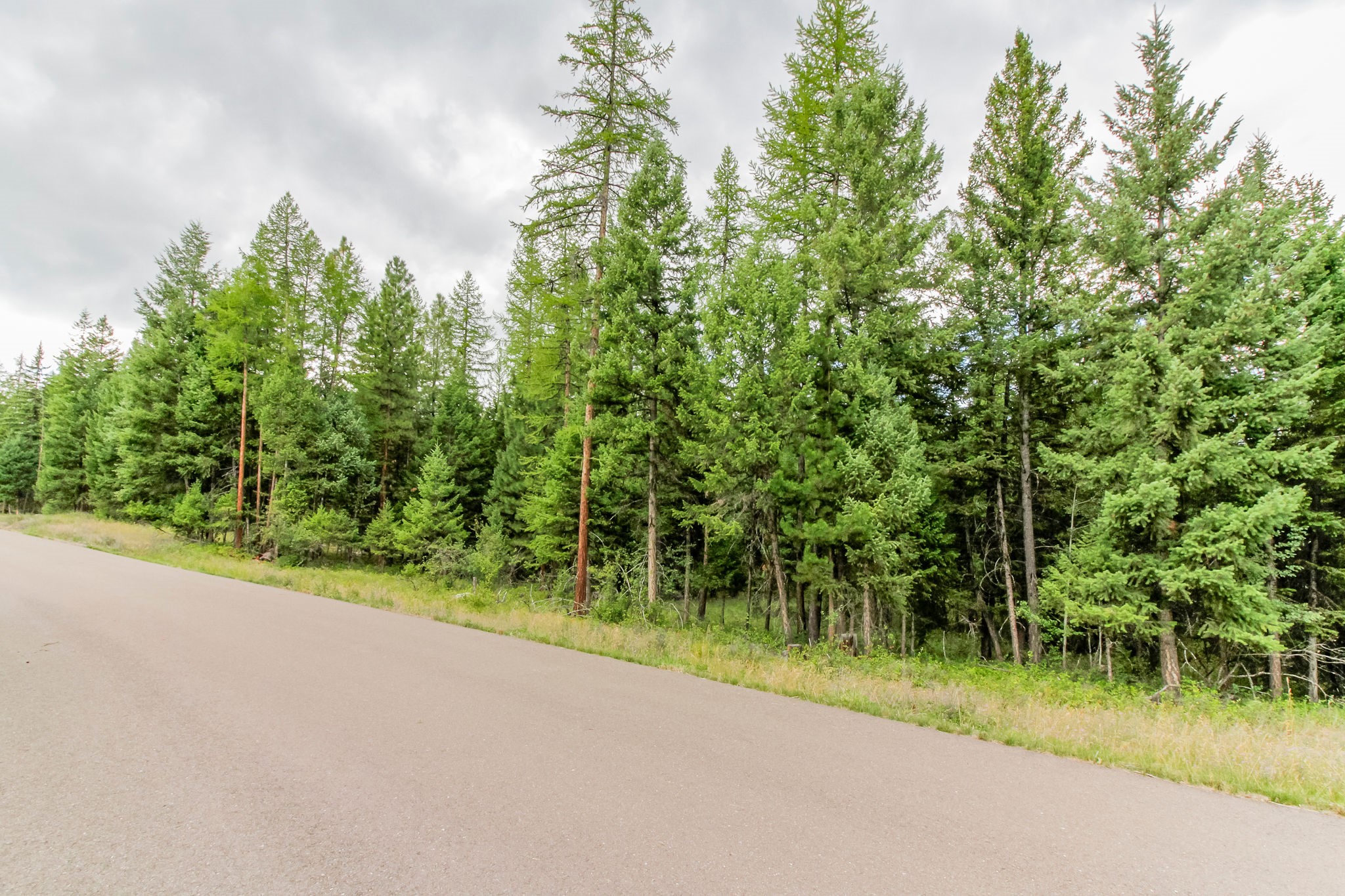 445 Haskill Ranch Road Property Photo 4